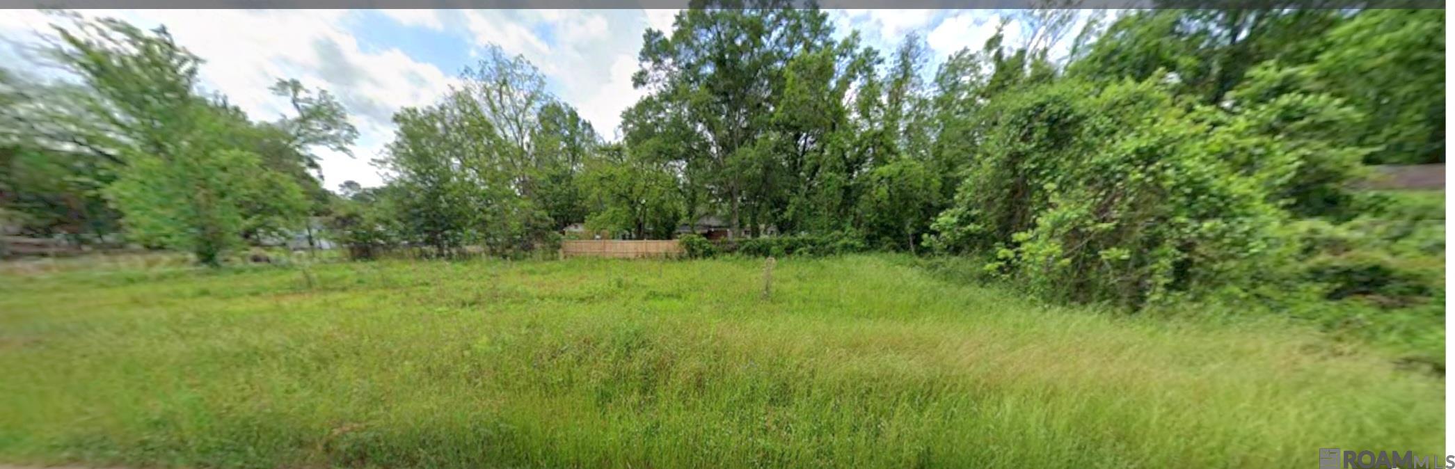 Parcel 1-A Hano Rd, Independence, Louisiana image 3