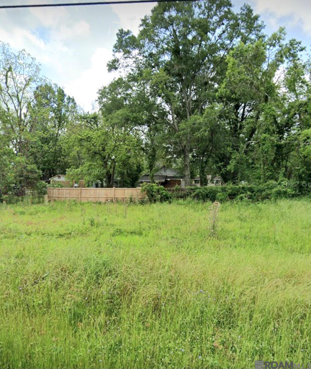 Parcel 1-A Hano Rd, Independence, Louisiana image 2