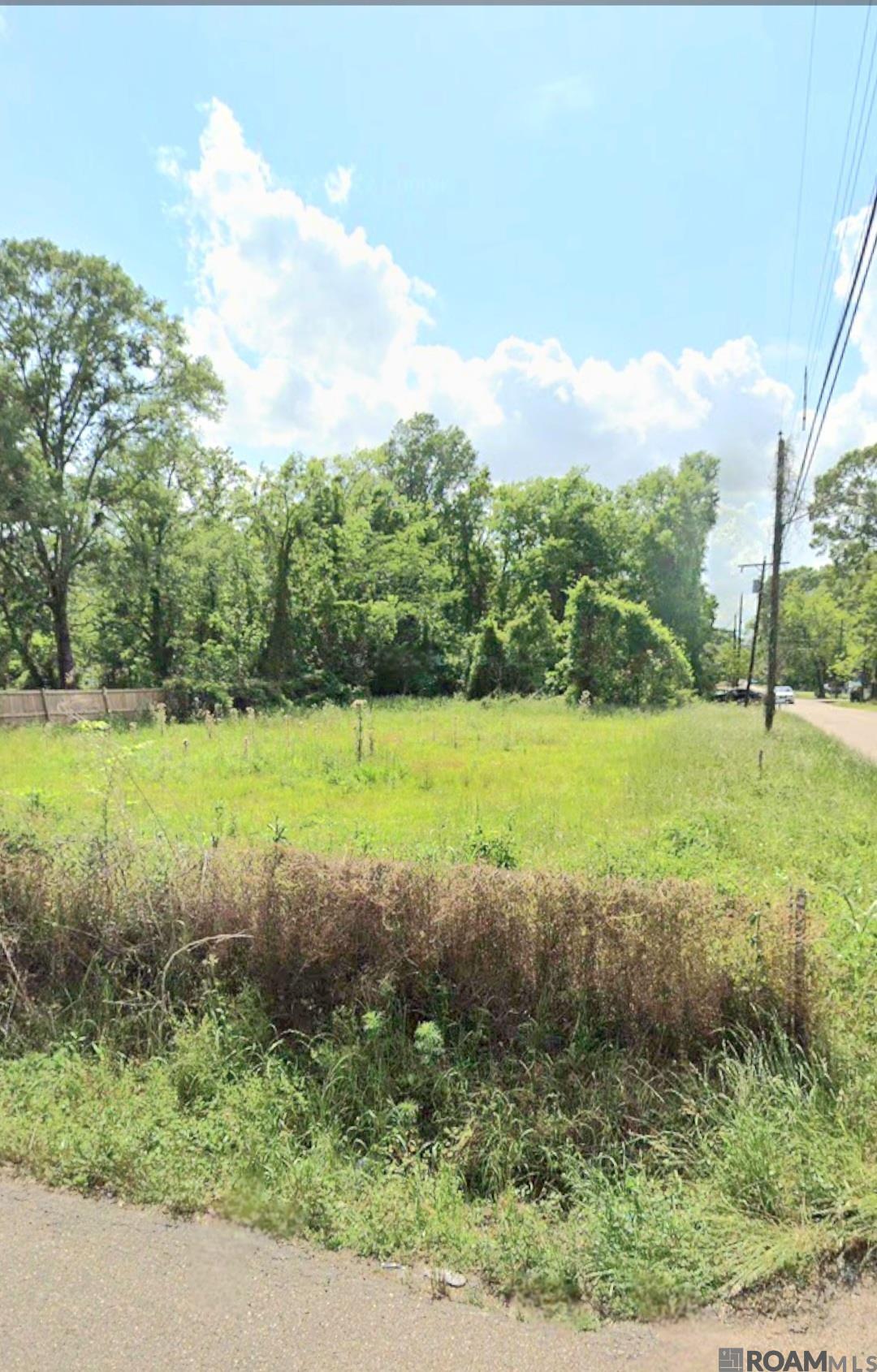 Parcel 1-A Hano Rd, Independence, Louisiana image 4