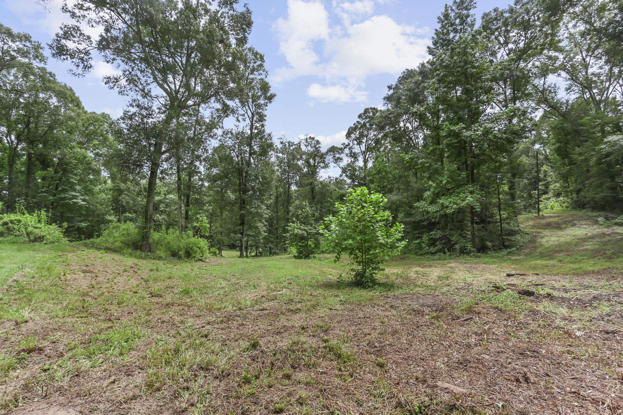 12200 Farrar Davis Rd, Saint Francisville, Louisiana image 48