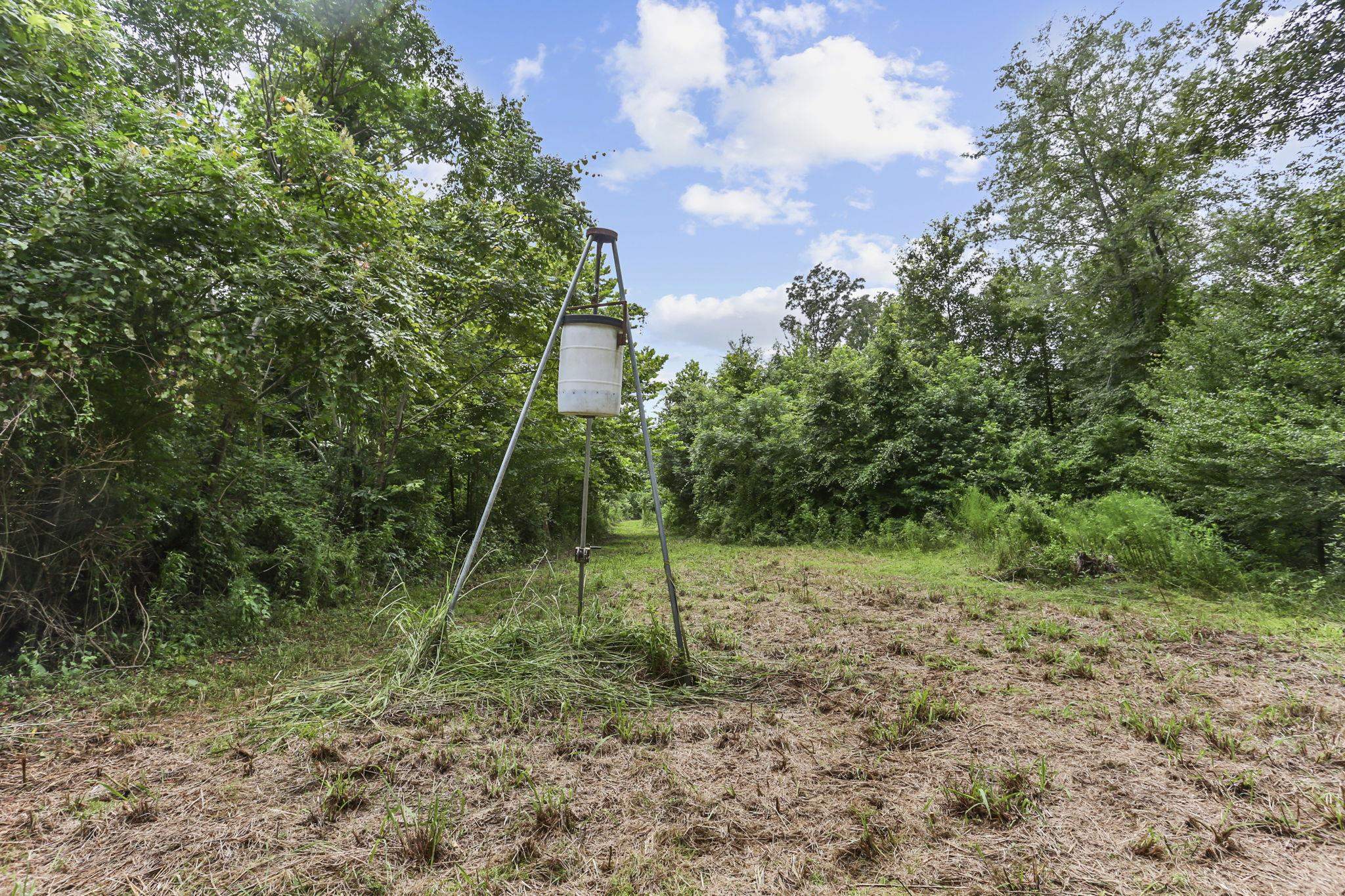 12200 Farrar Davis Rd, Saint Francisville, Louisiana image 44