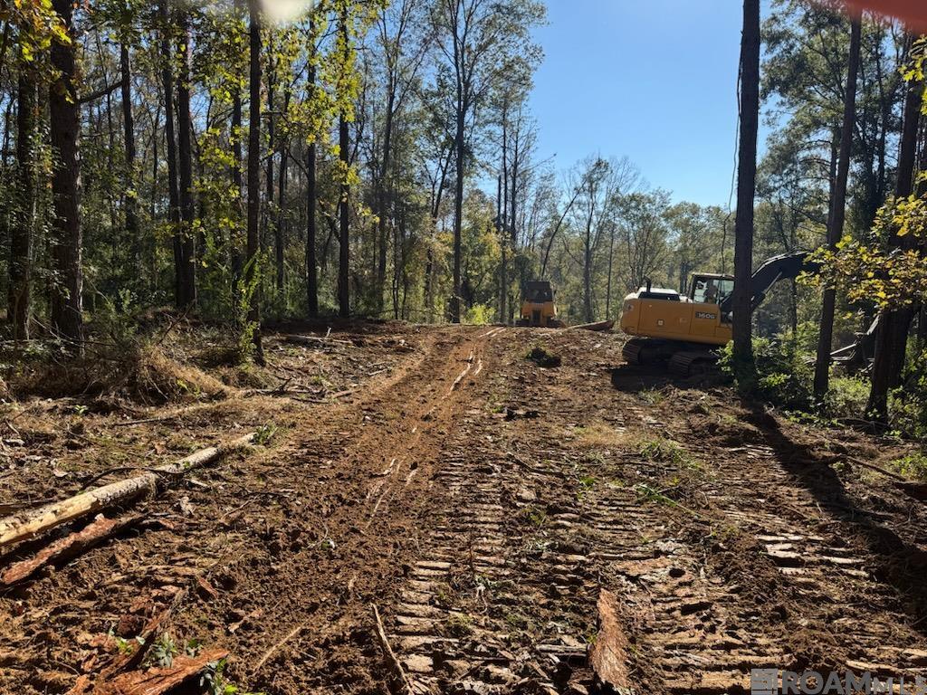 Lot 15 Honey Grove, French Settlement, Louisiana image 2