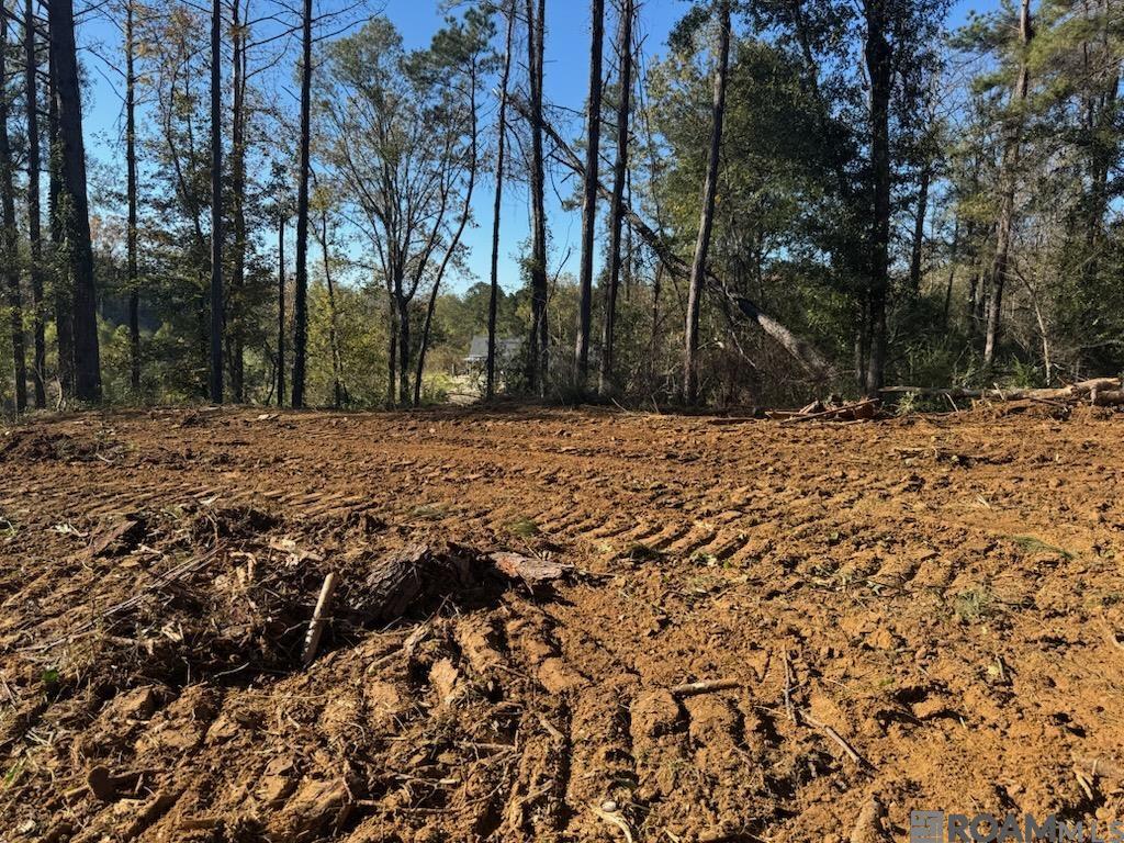 Lot 15 Honey Grove, French Settlement, Louisiana image 3