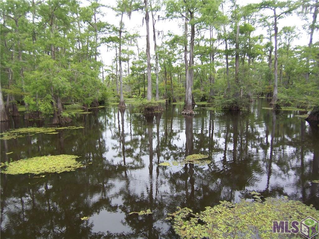 720 Hog Island Road, Dry Prong, Louisiana image 39