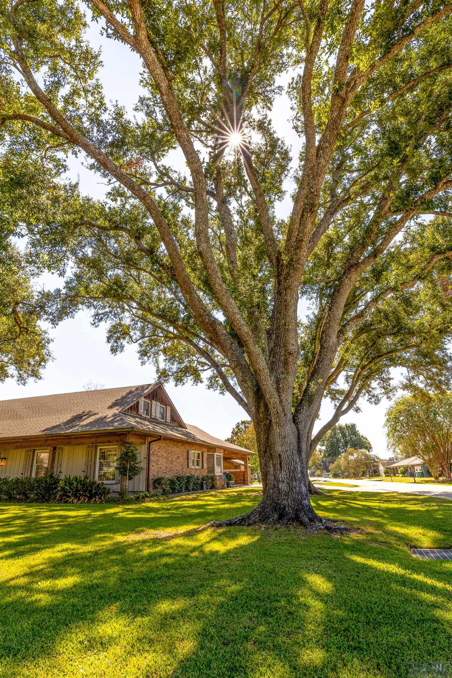 105 East Windsor, Thibodaux, Louisiana image 5