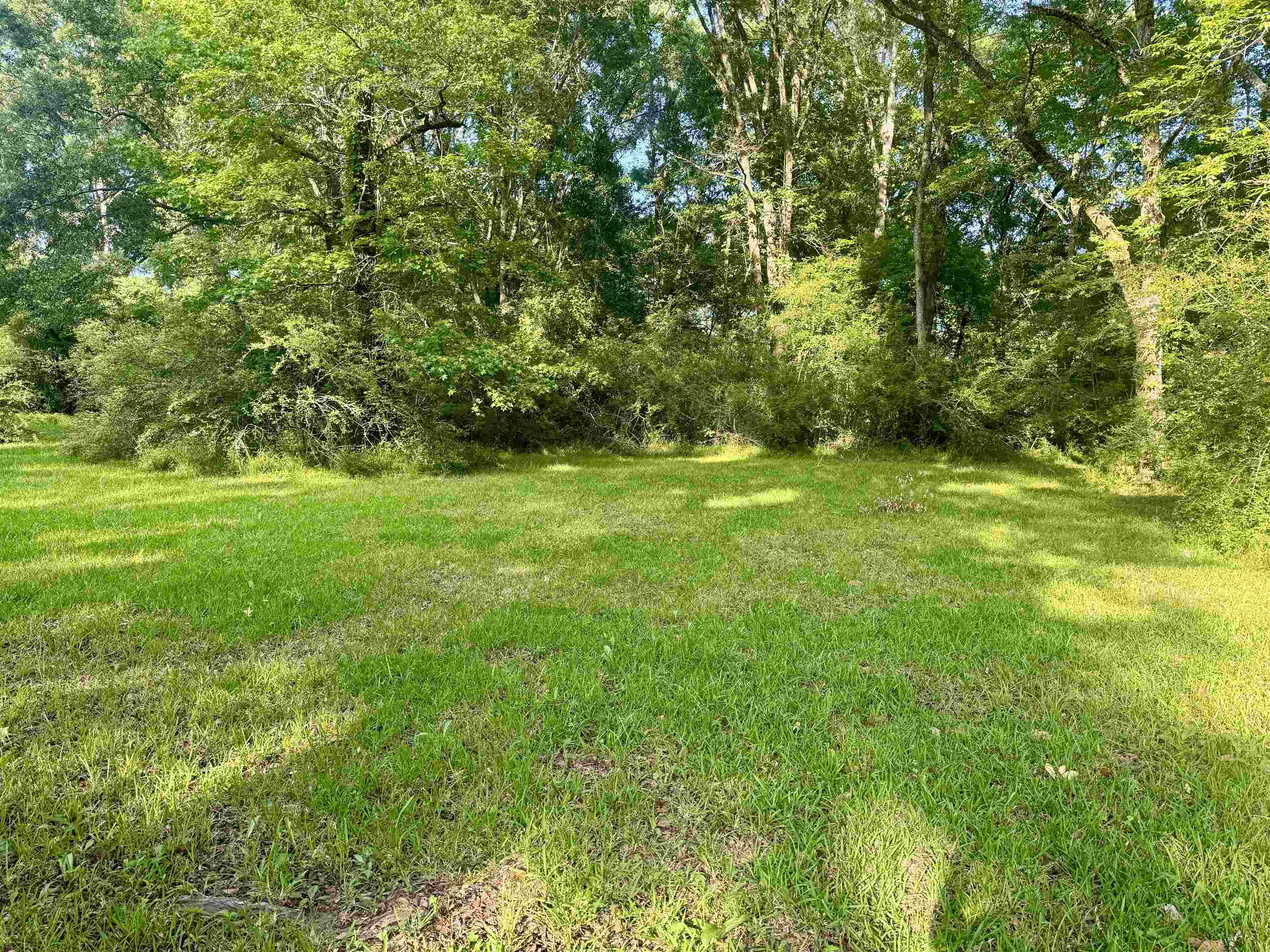 Lot C Hazeloak Dr, Baker, Louisiana image 4