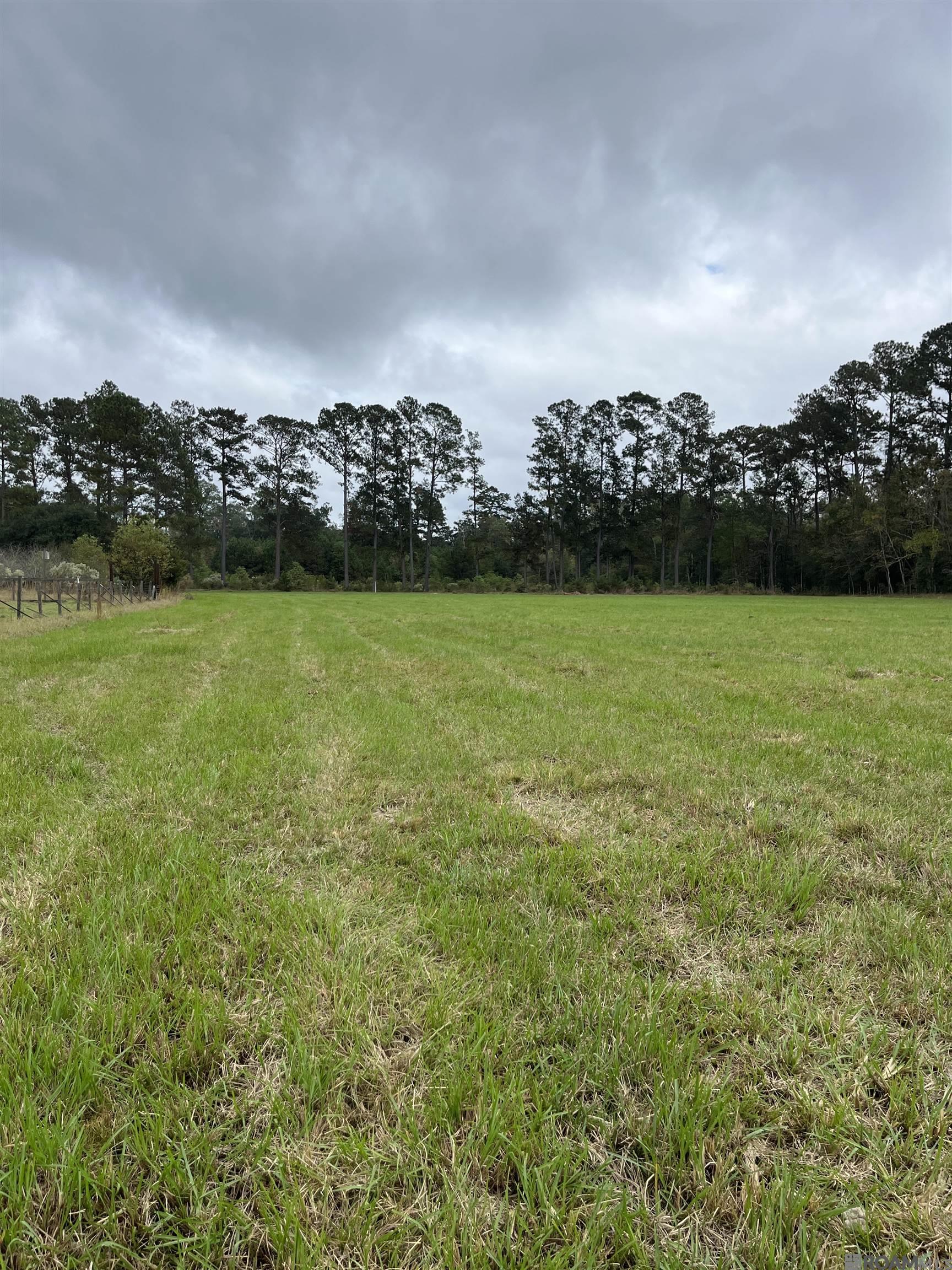 Parcel 1-B Hano Rd, Independence, Louisiana image 3