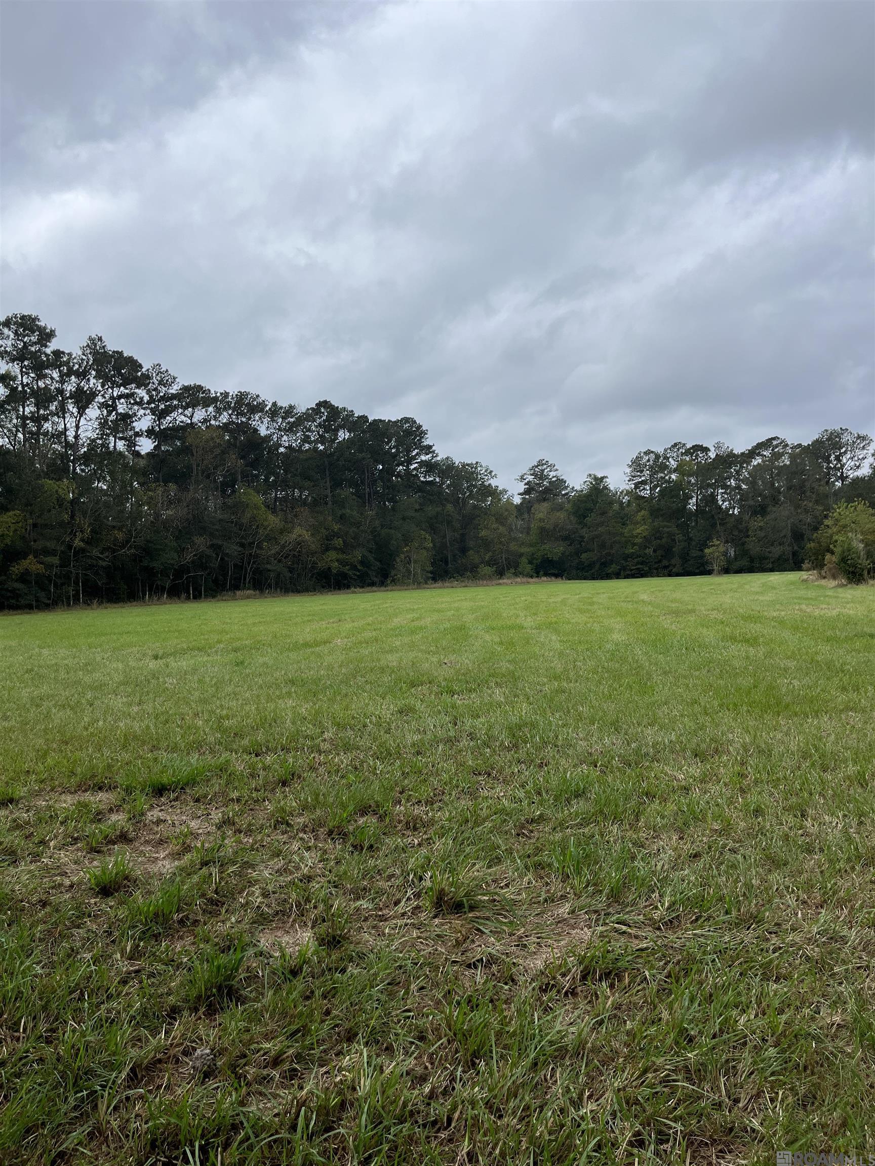 Parcel 1-B Hano Rd, Independence, Louisiana image 4