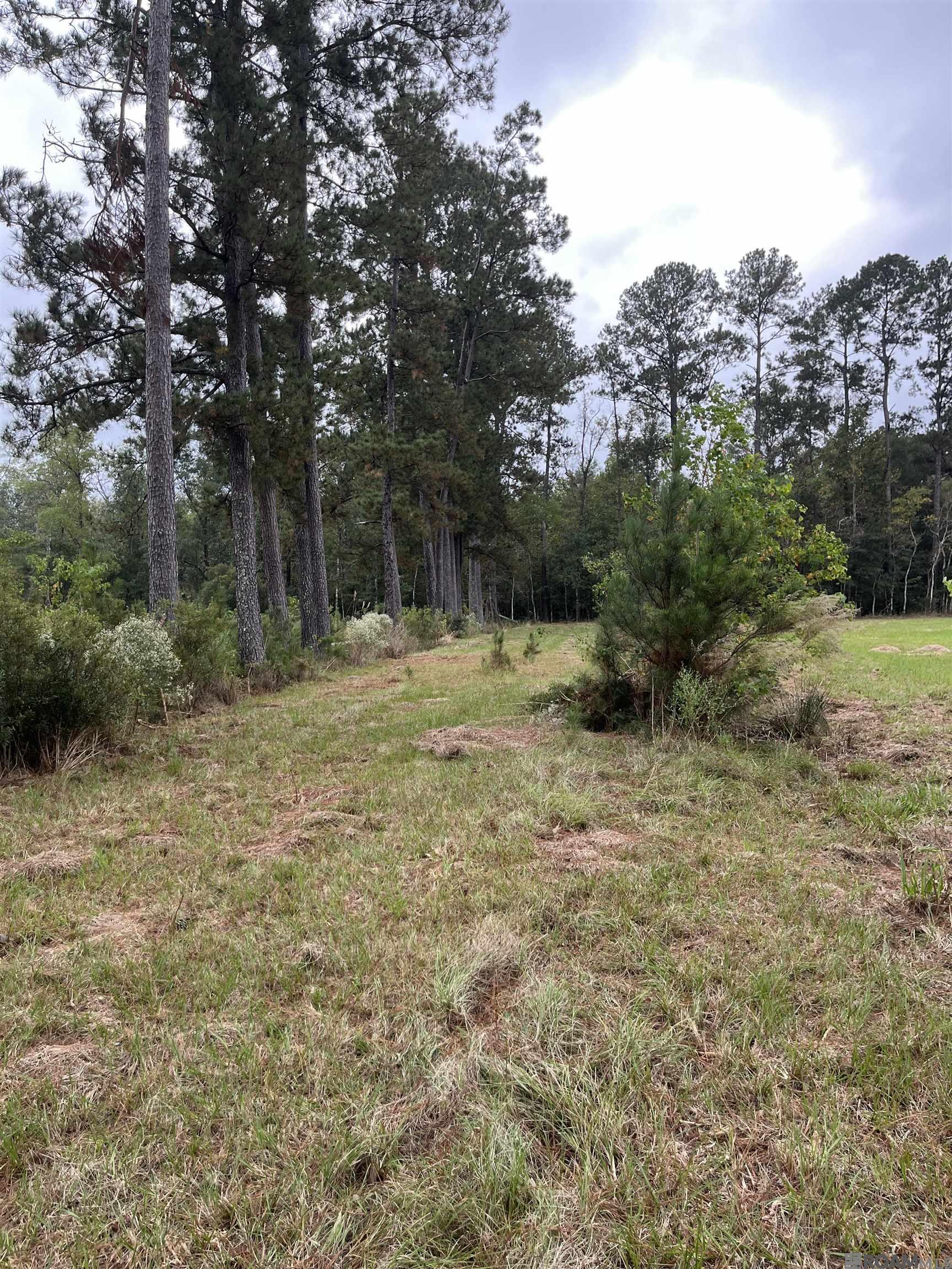 Parcel 1-B Hano Rd, Independence, Louisiana image 8