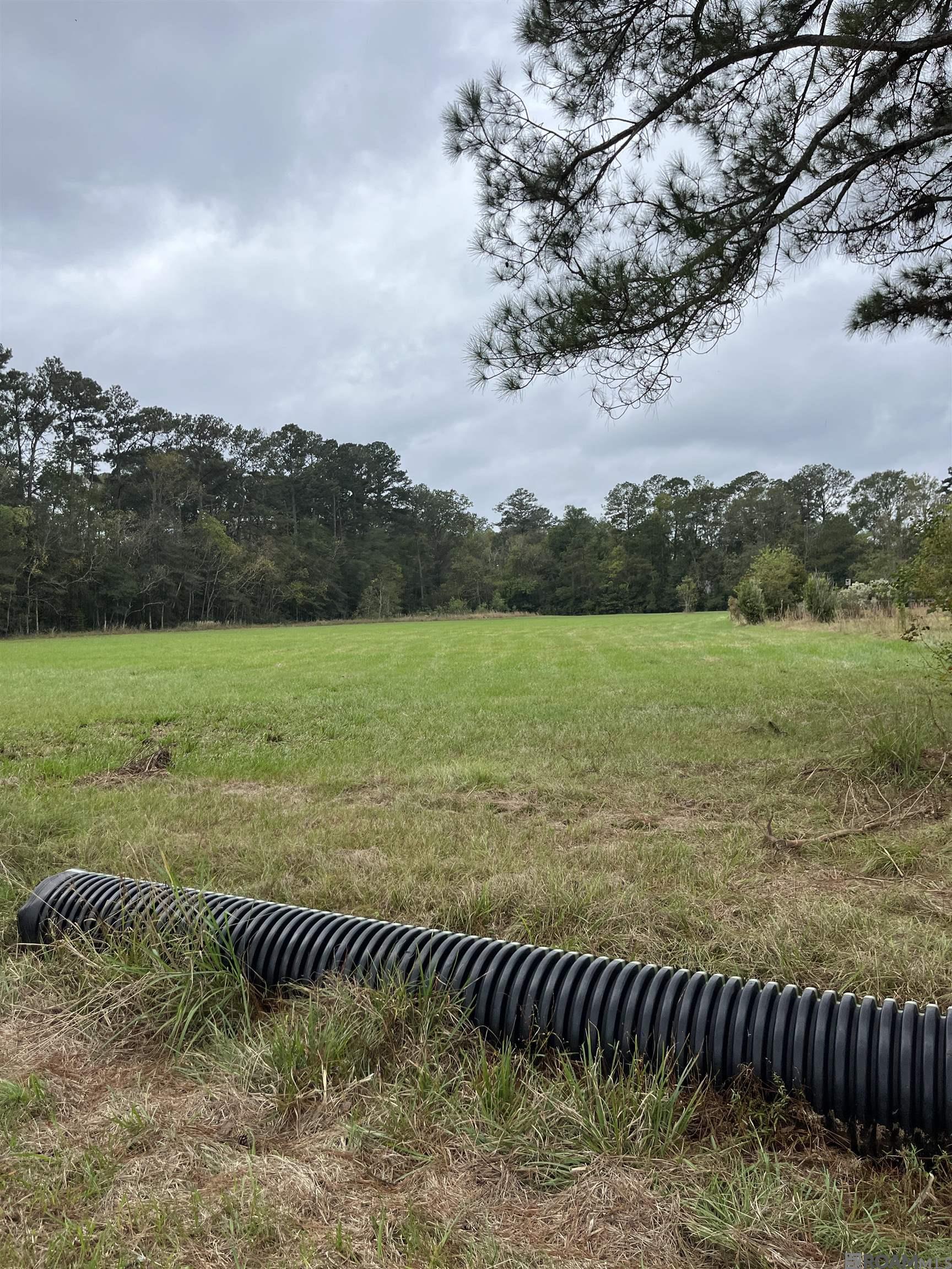 Parcel 1-B Hano Rd, Independence, Louisiana image 7