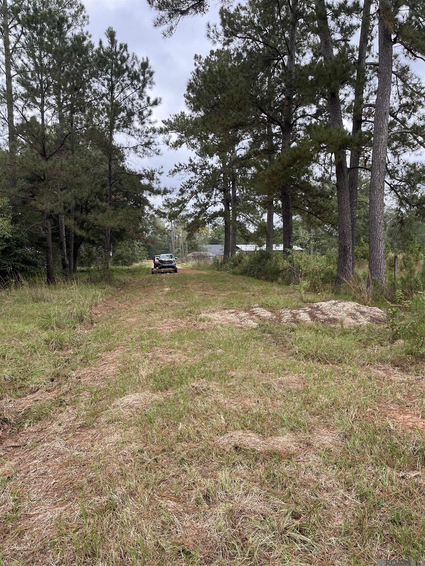 Parcel 1-B Hano Rd, Independence, Louisiana image 6