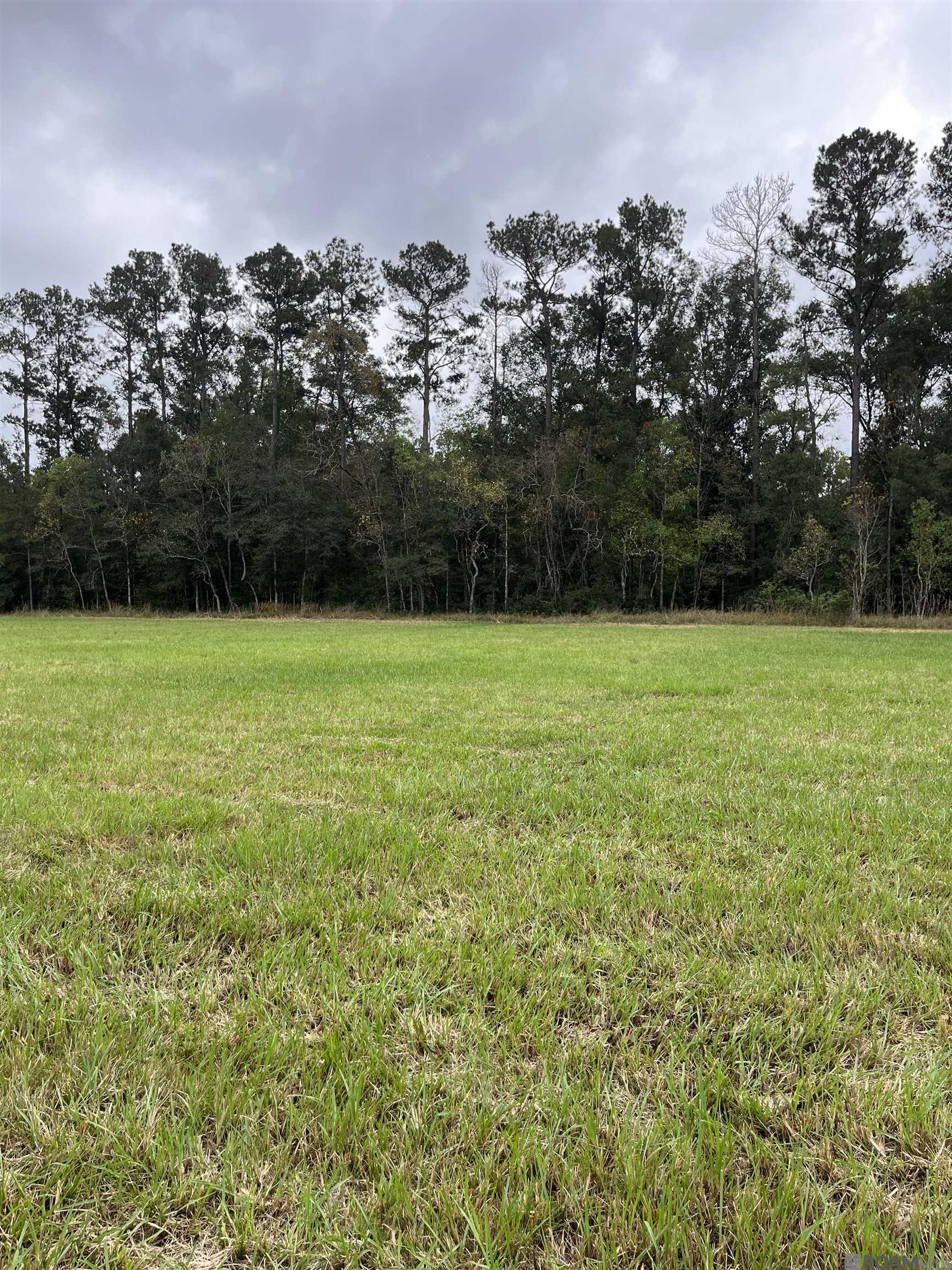 Parcel 1-B Hano Rd, Independence, Louisiana image 2