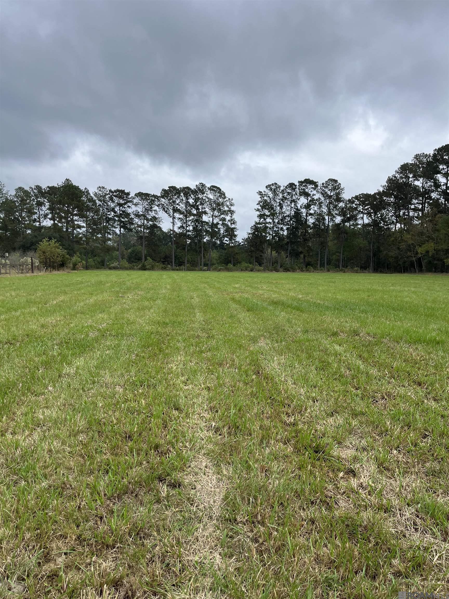 Parcel 1-B Hano Rd, Independence, Louisiana image 1