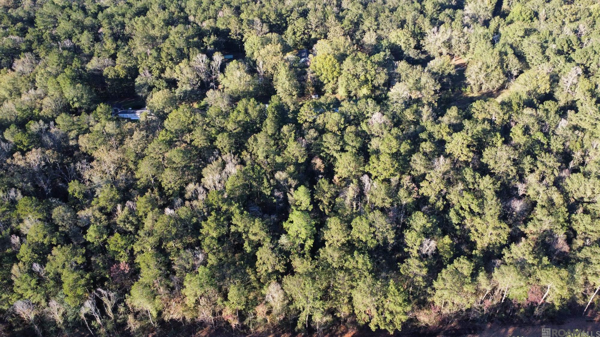 5.64 Acres Heritage Acres Ln, Robert, Louisiana image 3