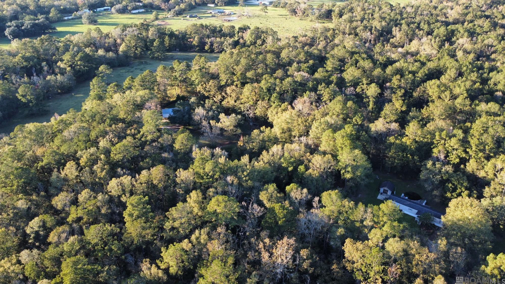 5.64 Acres Heritage Acres Ln, Robert, Louisiana image 10