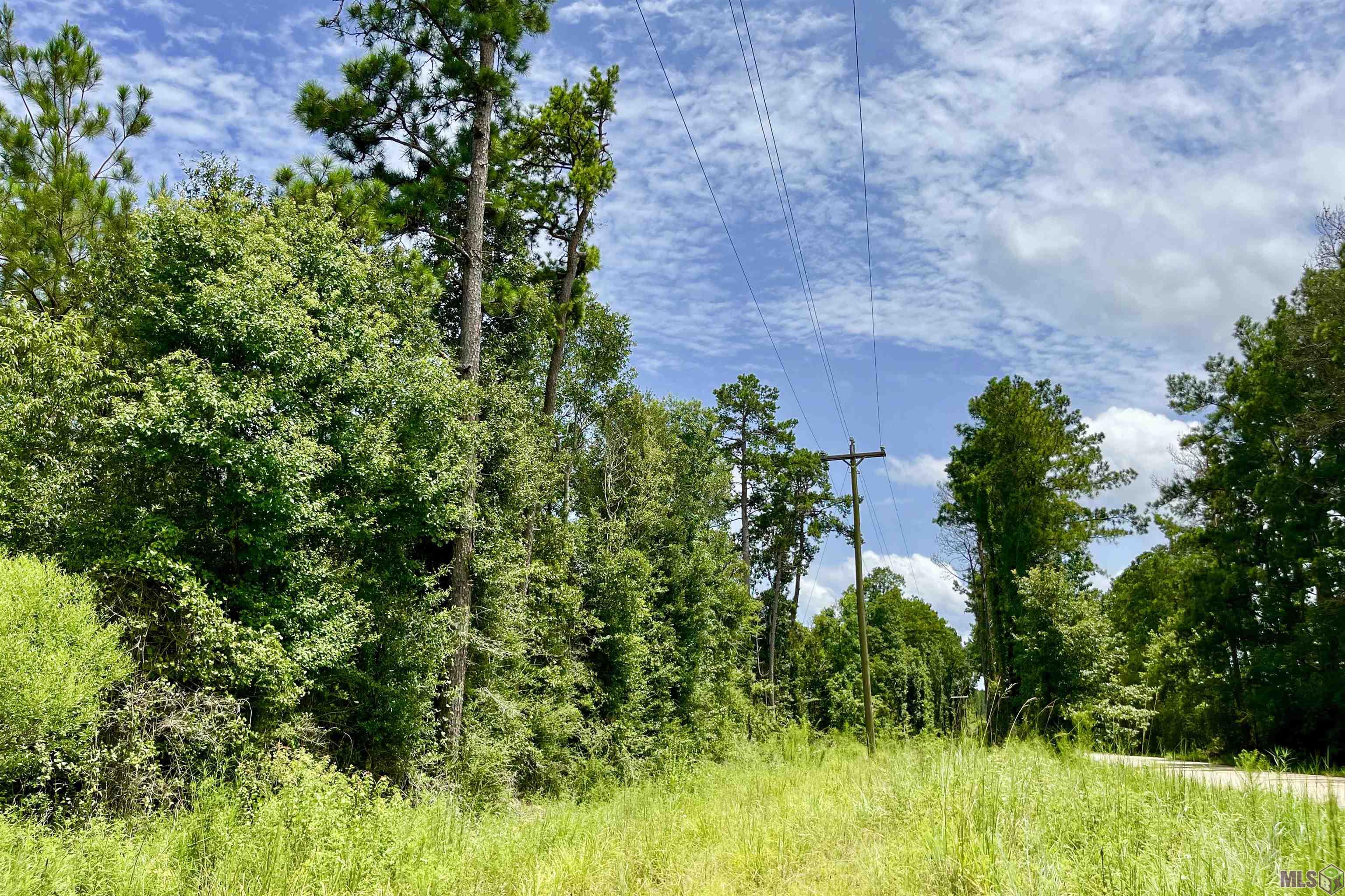 05 La Hwy 960, Clinton, Louisiana image 24