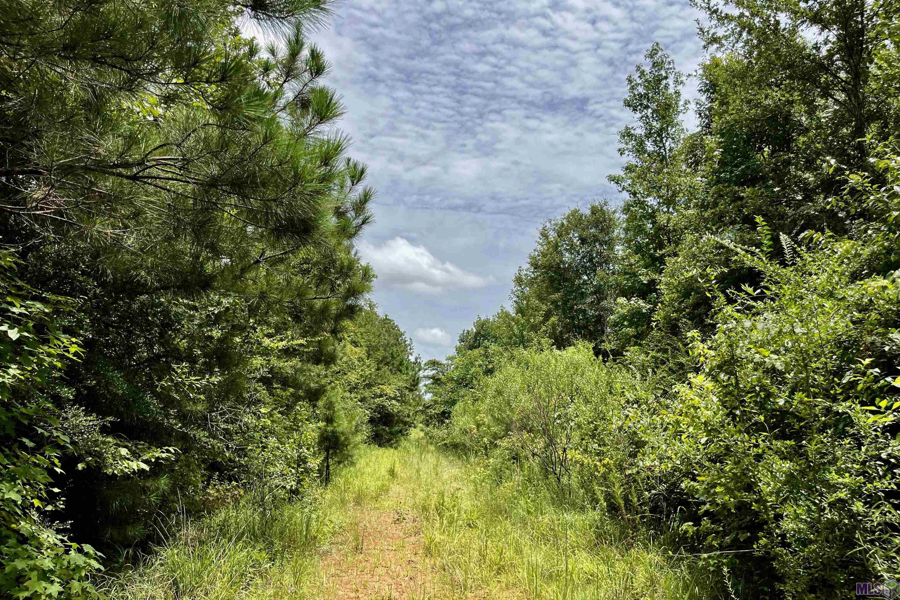 05 La Hwy 960, Clinton, Louisiana image 17