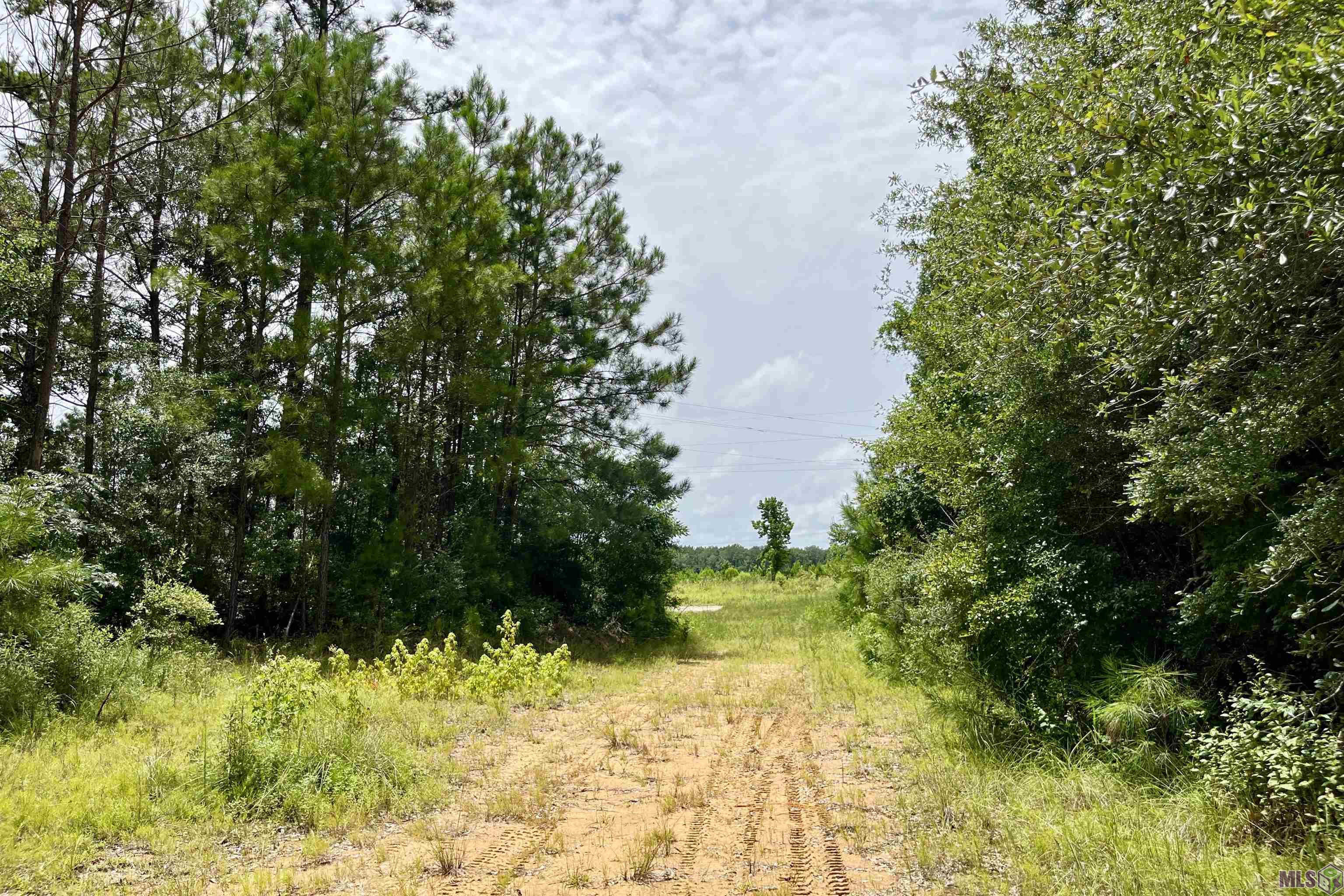 05 La Hwy 960, Clinton, Louisiana image 22