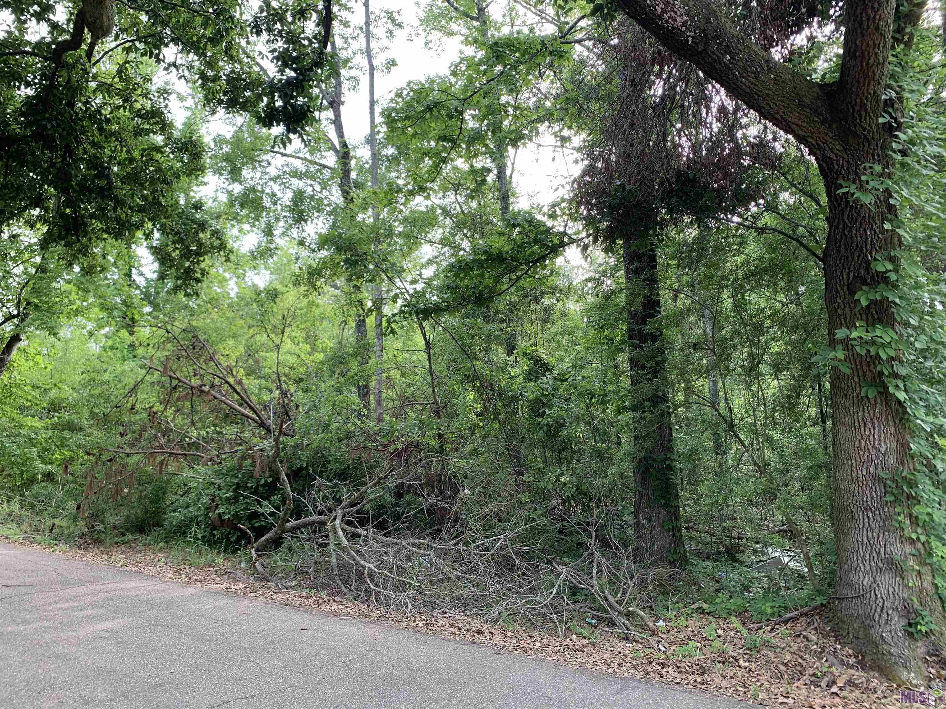 LOT E Klein Rd, Hammond, Louisiana image 1