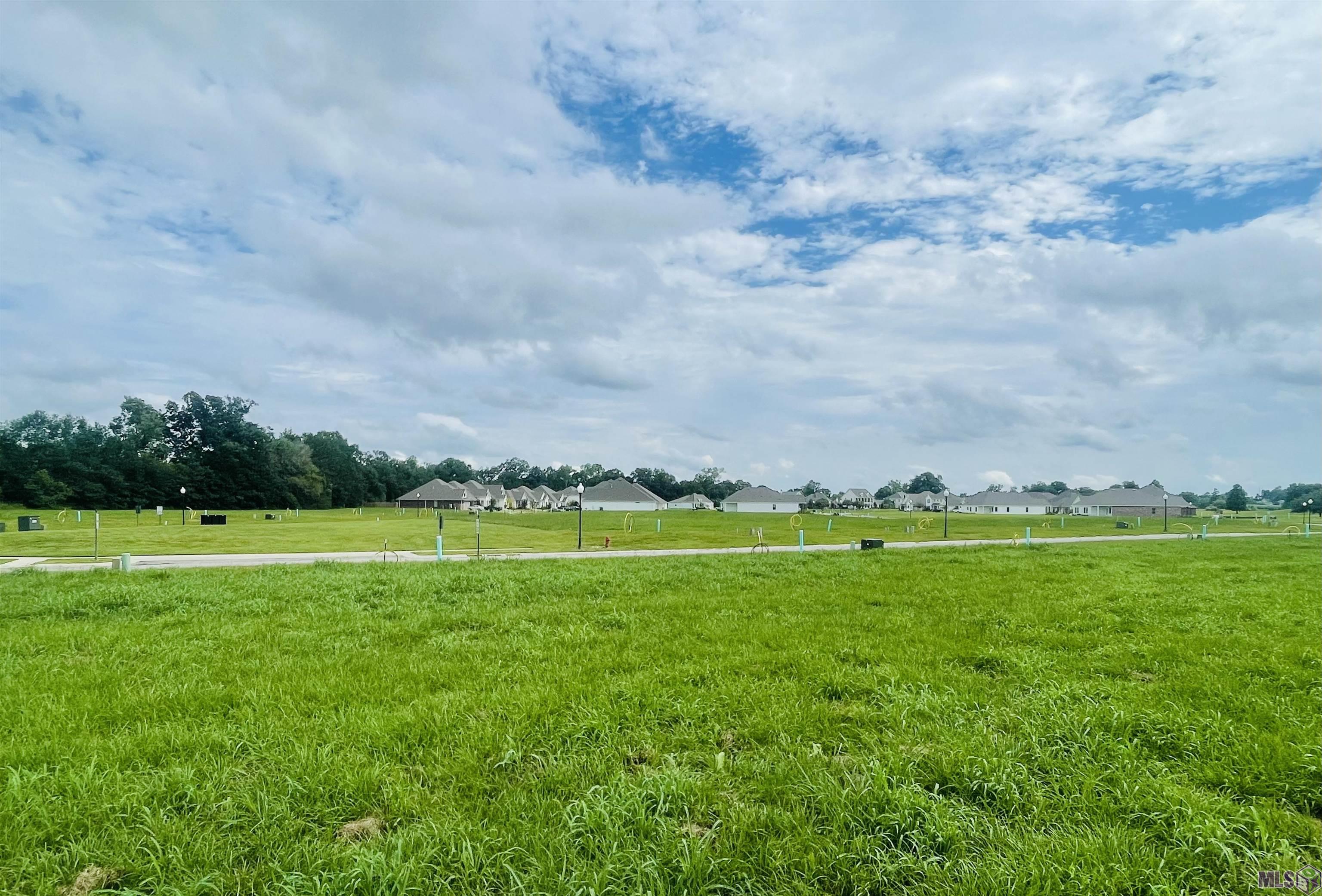 Lot 60 April Ln, Plaquemine, Louisiana image 12