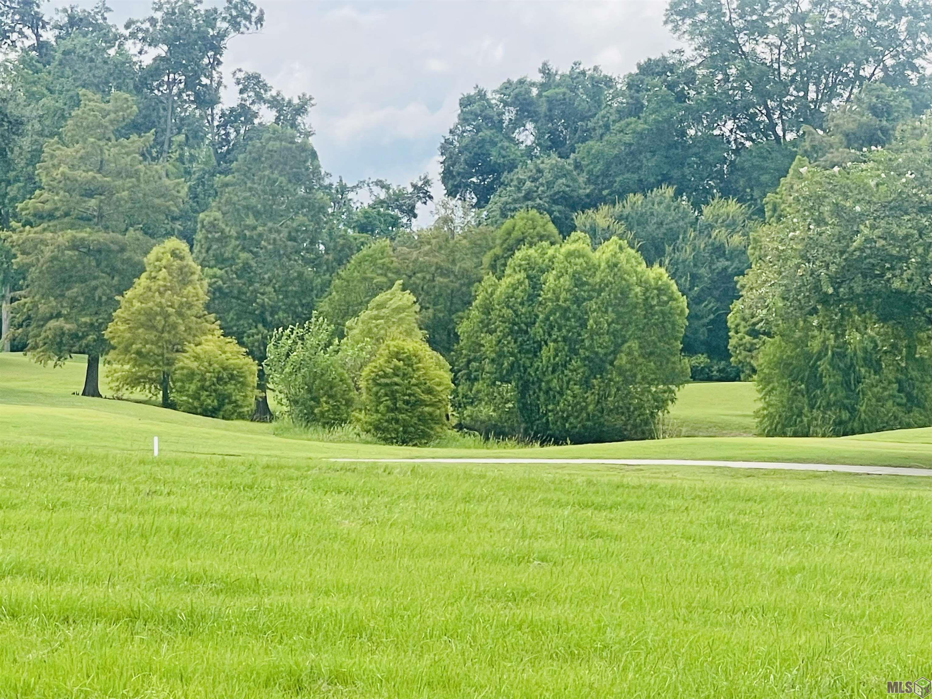 La Hwy 432, Clinton, Louisiana image 11