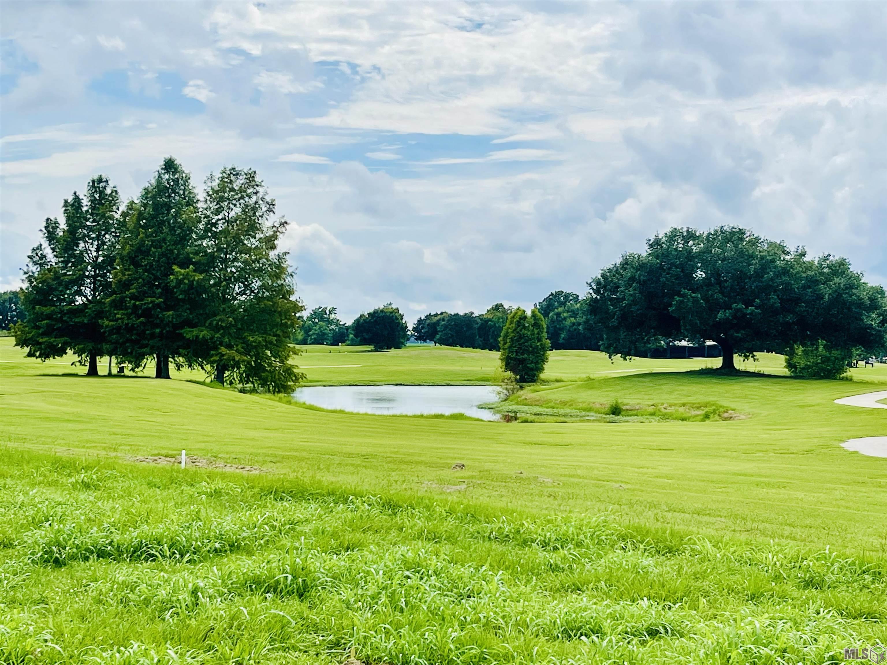 La Hwy 432, Clinton, Louisiana image 9