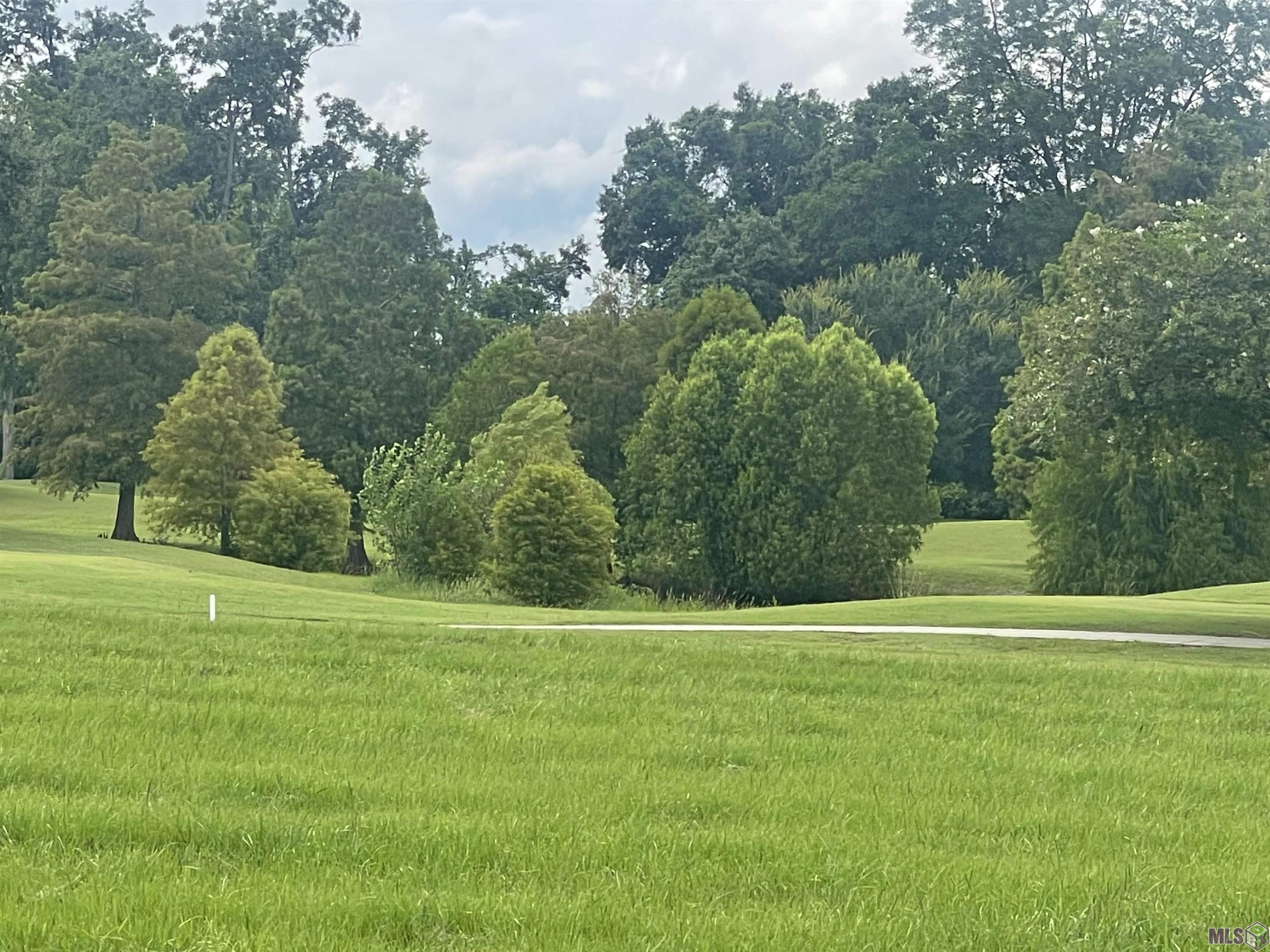 La Hwy 432, Clinton, Louisiana image 4