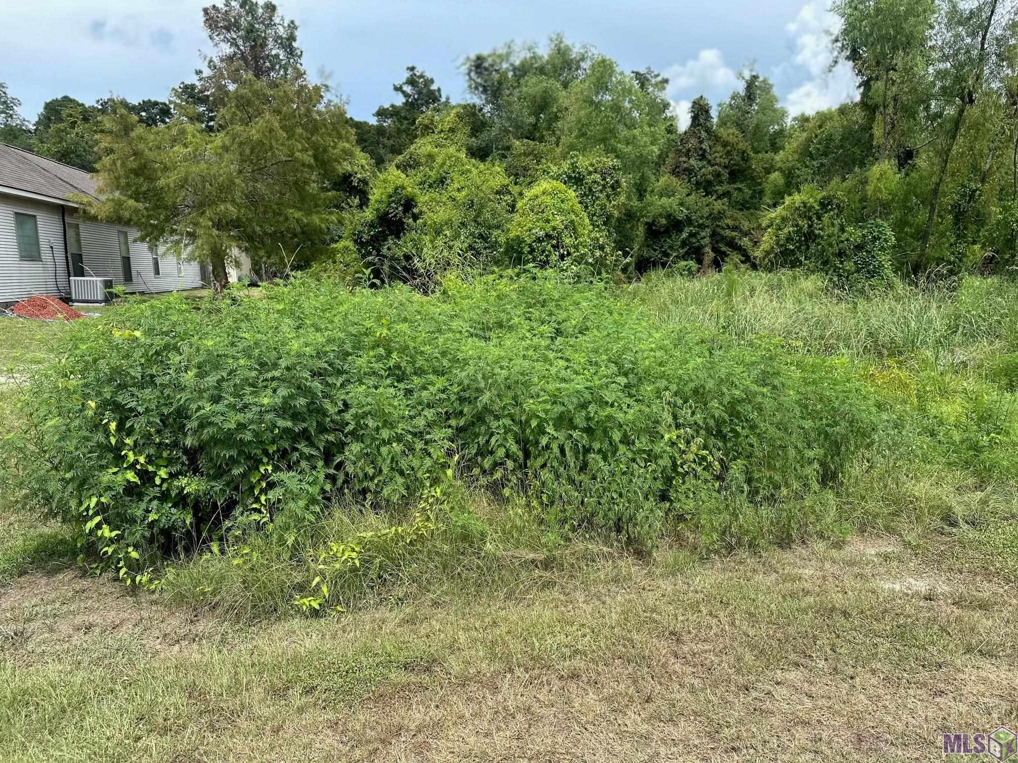 15898 Cypress Point Ln, French Settlement, Louisiana image 8