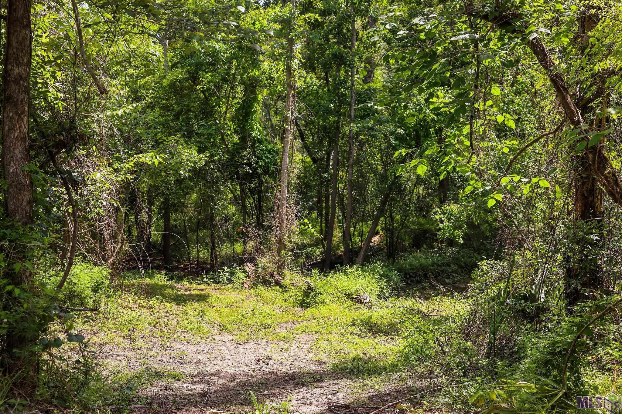 18668 Muddy Creek Rd, Prairieville, Louisiana image 14