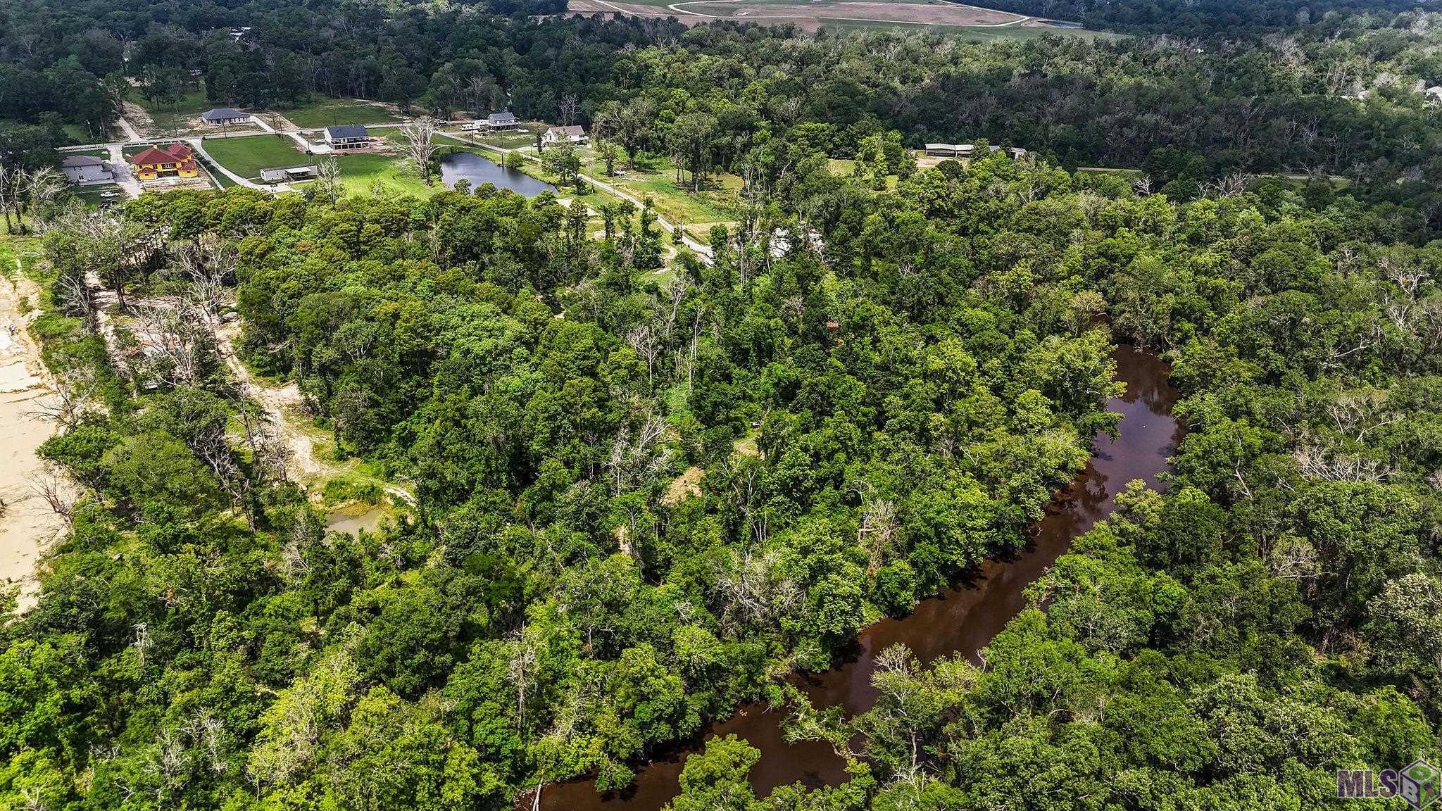 18668 Muddy Creek Rd, Prairieville, Louisiana image 35