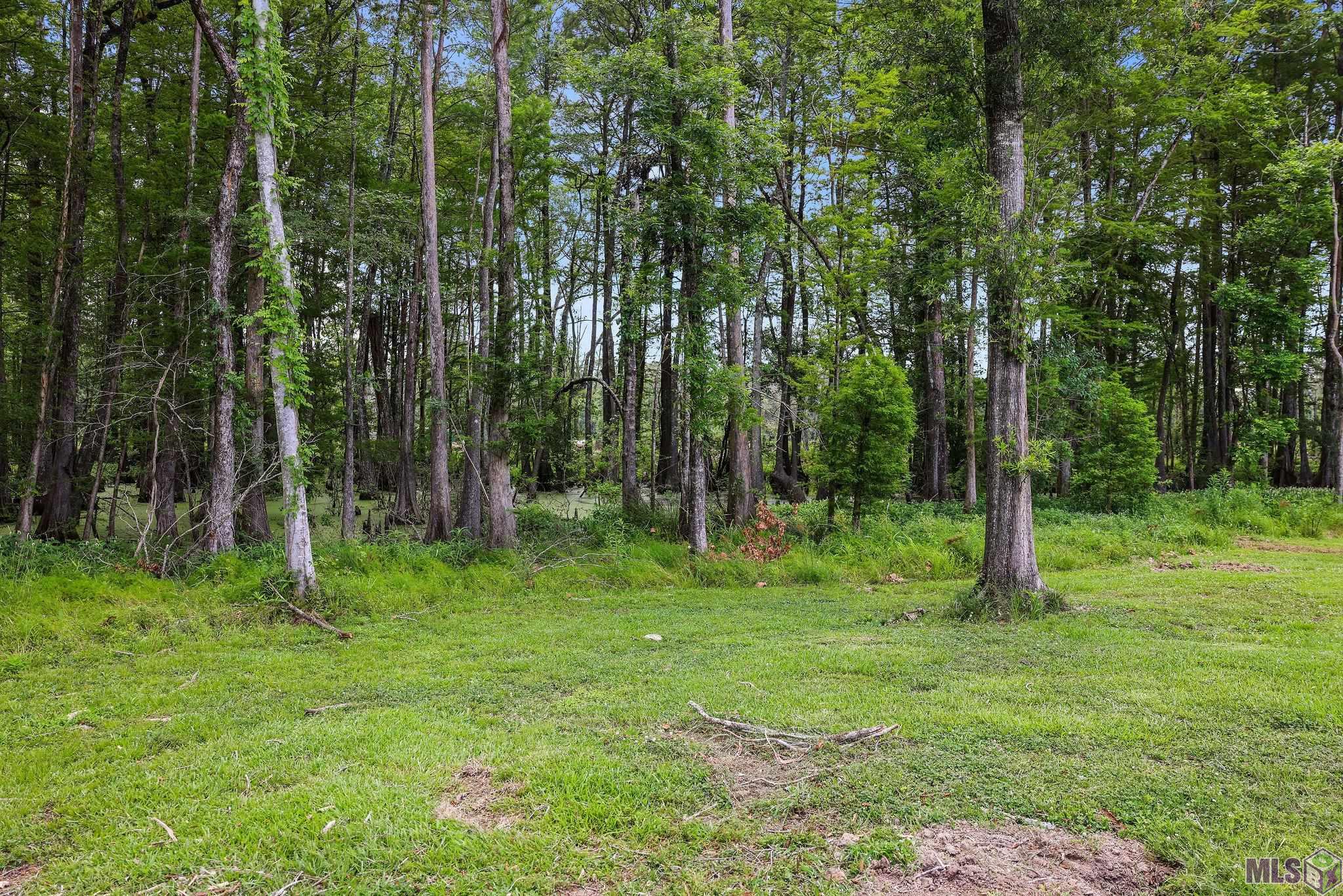 18668 Muddy Creek Rd, Prairieville, Louisiana image 3