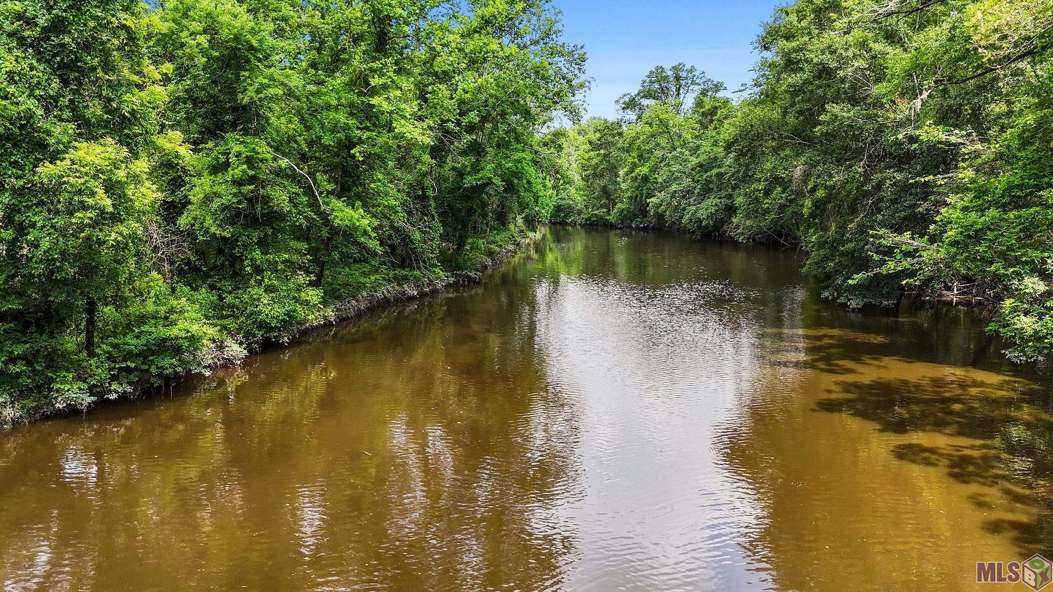 18668 Muddy Creek Rd, Prairieville, Louisiana image 9