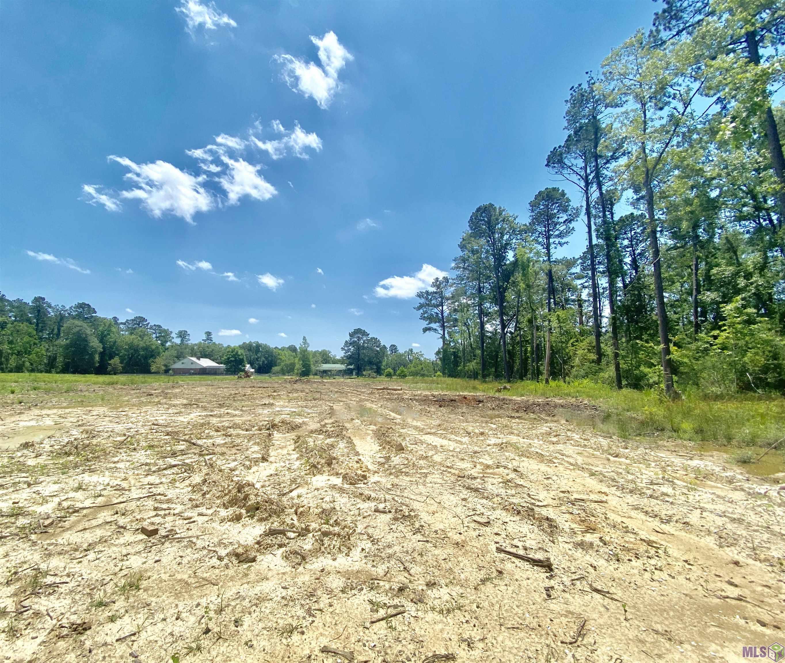 Lot  #1-A-2 Beechwood Rd, Prairieville, Louisiana image 3