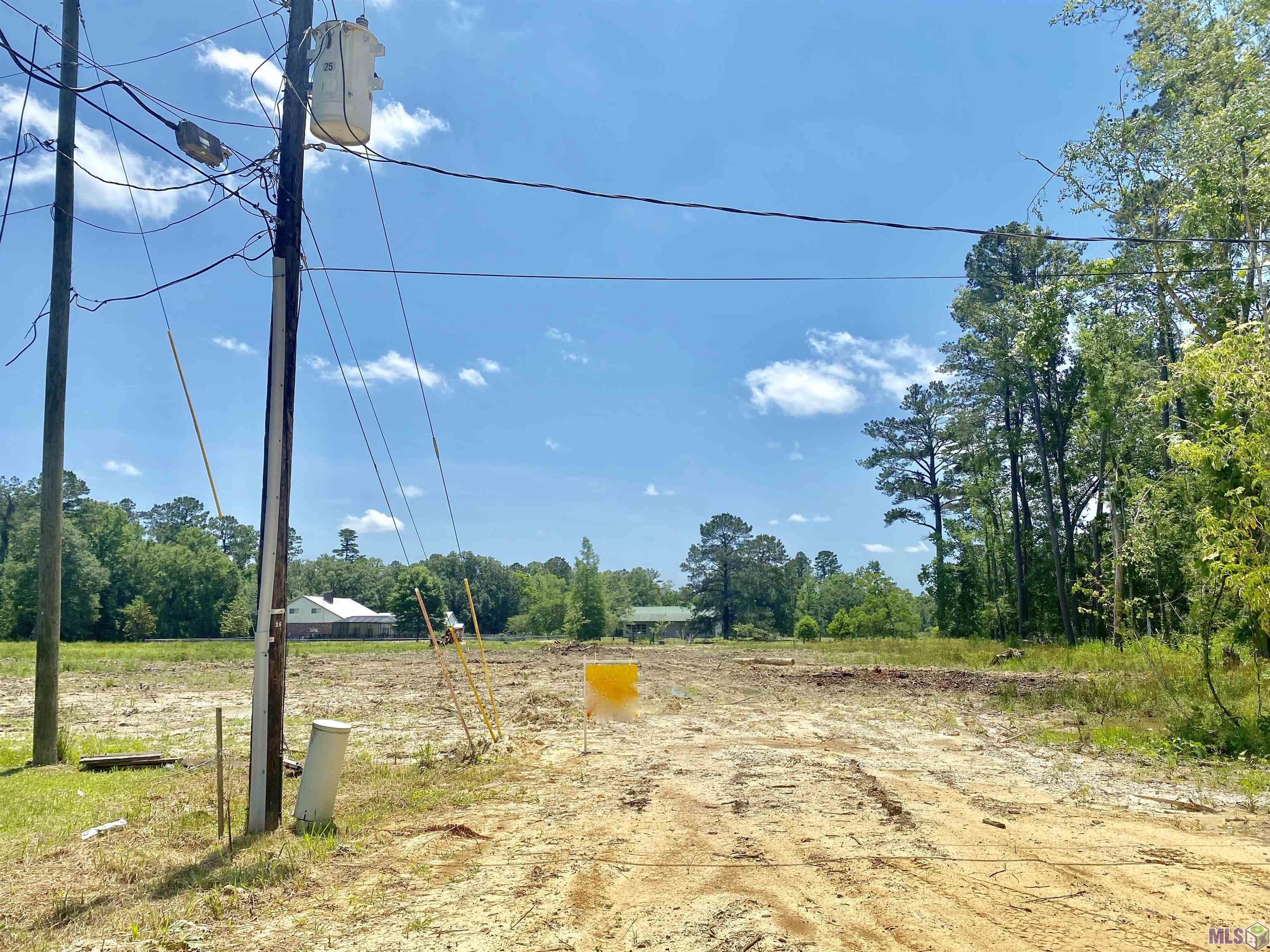 Lot  #1-A-2 Beechwood Rd, Prairieville, Louisiana image 1