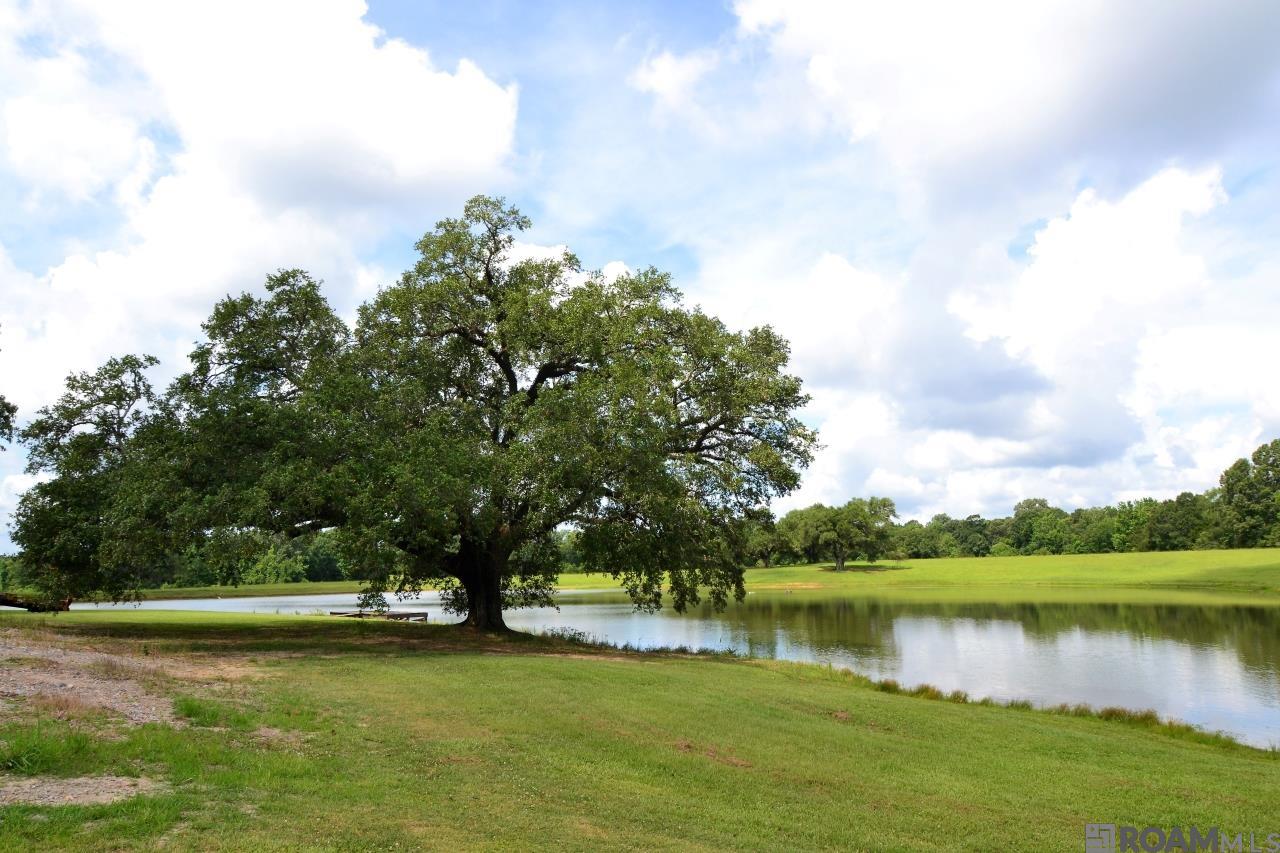 5507 - 1 La Hwy 966, Saint Francisville, Louisiana image 11