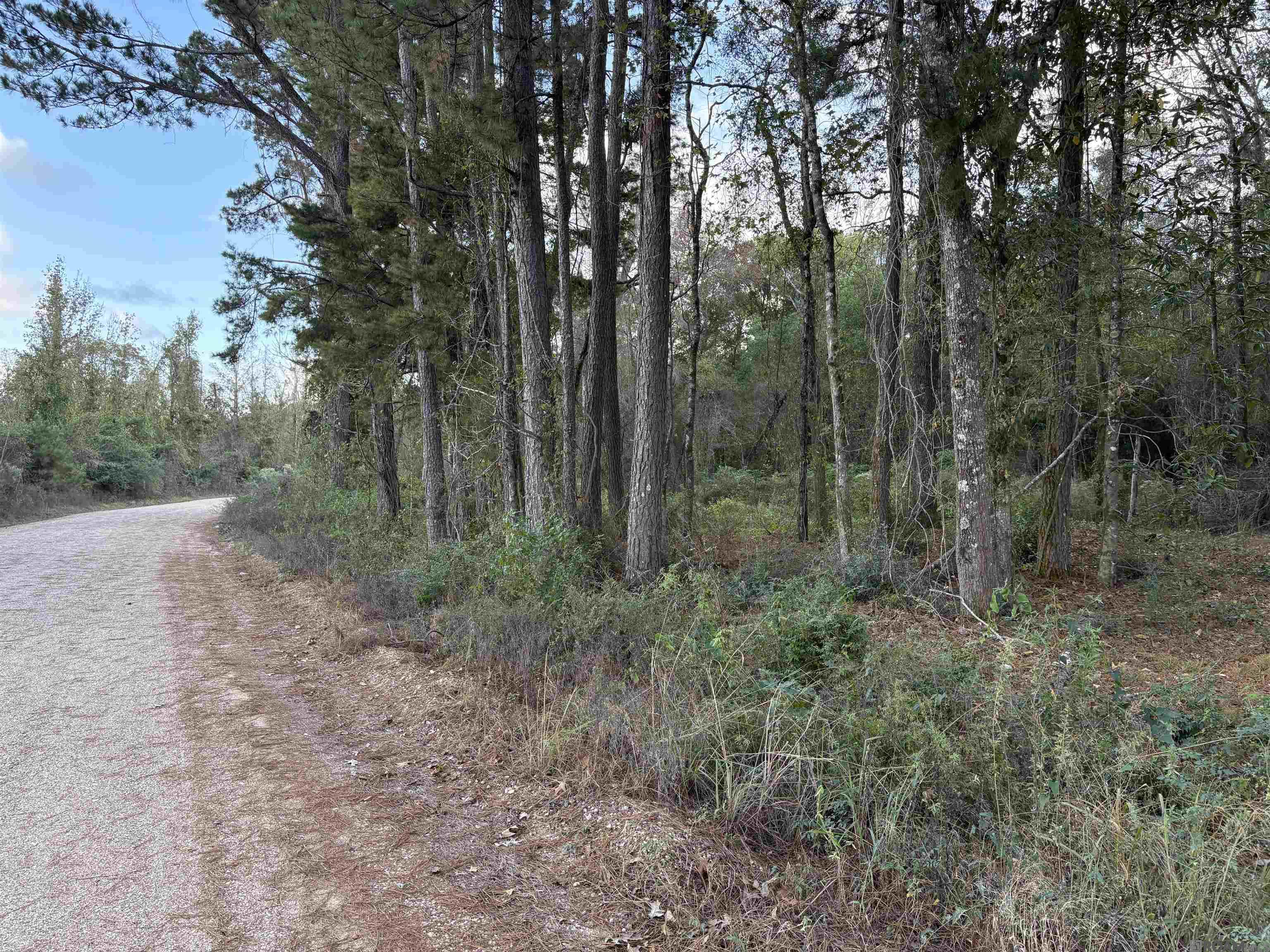 Tract RS-17-19 La Hwy 16, Denham Springs, Louisiana image 1