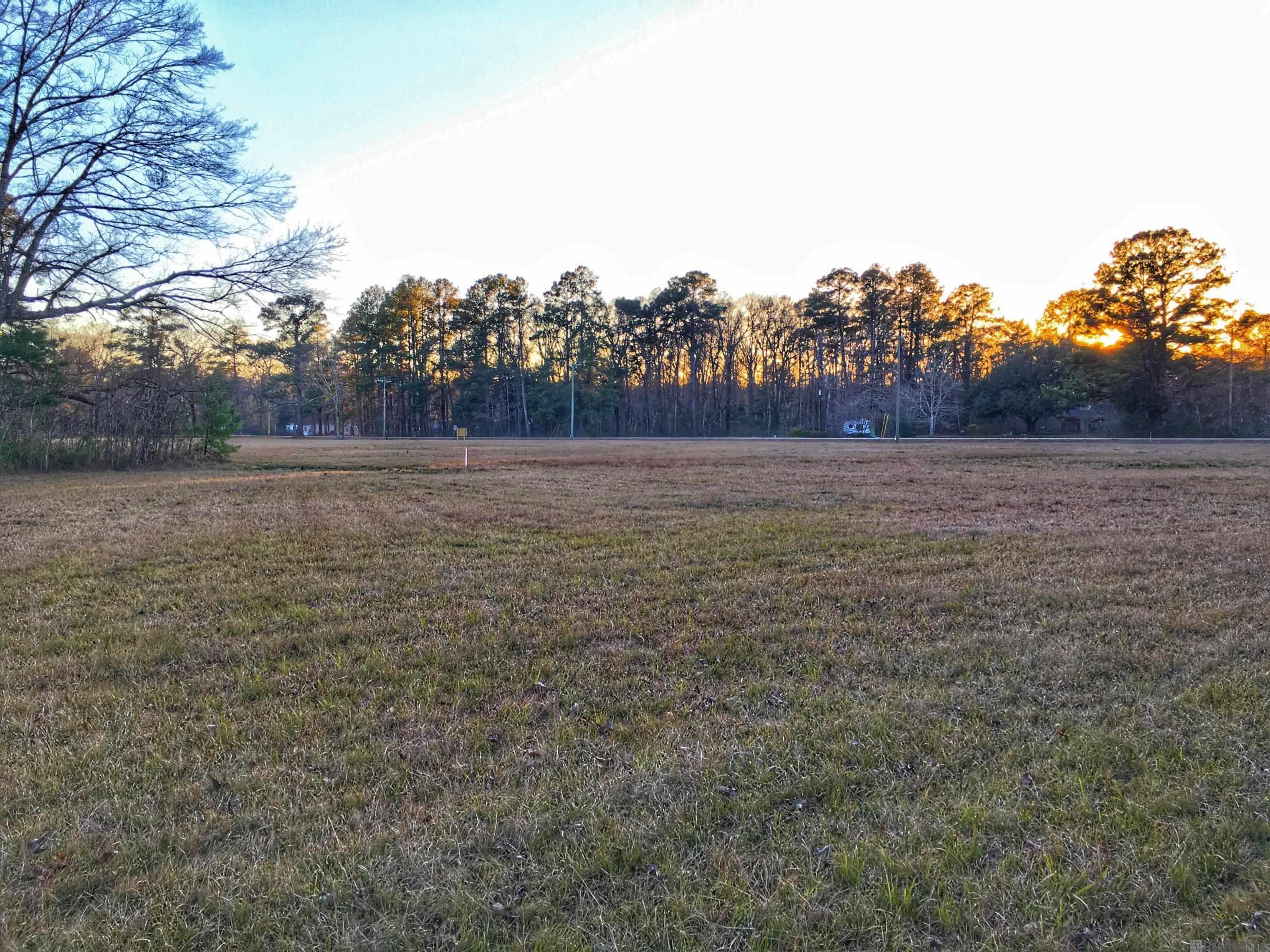 Lot C-3 Chaney Rd, Zachary, Louisiana image 4