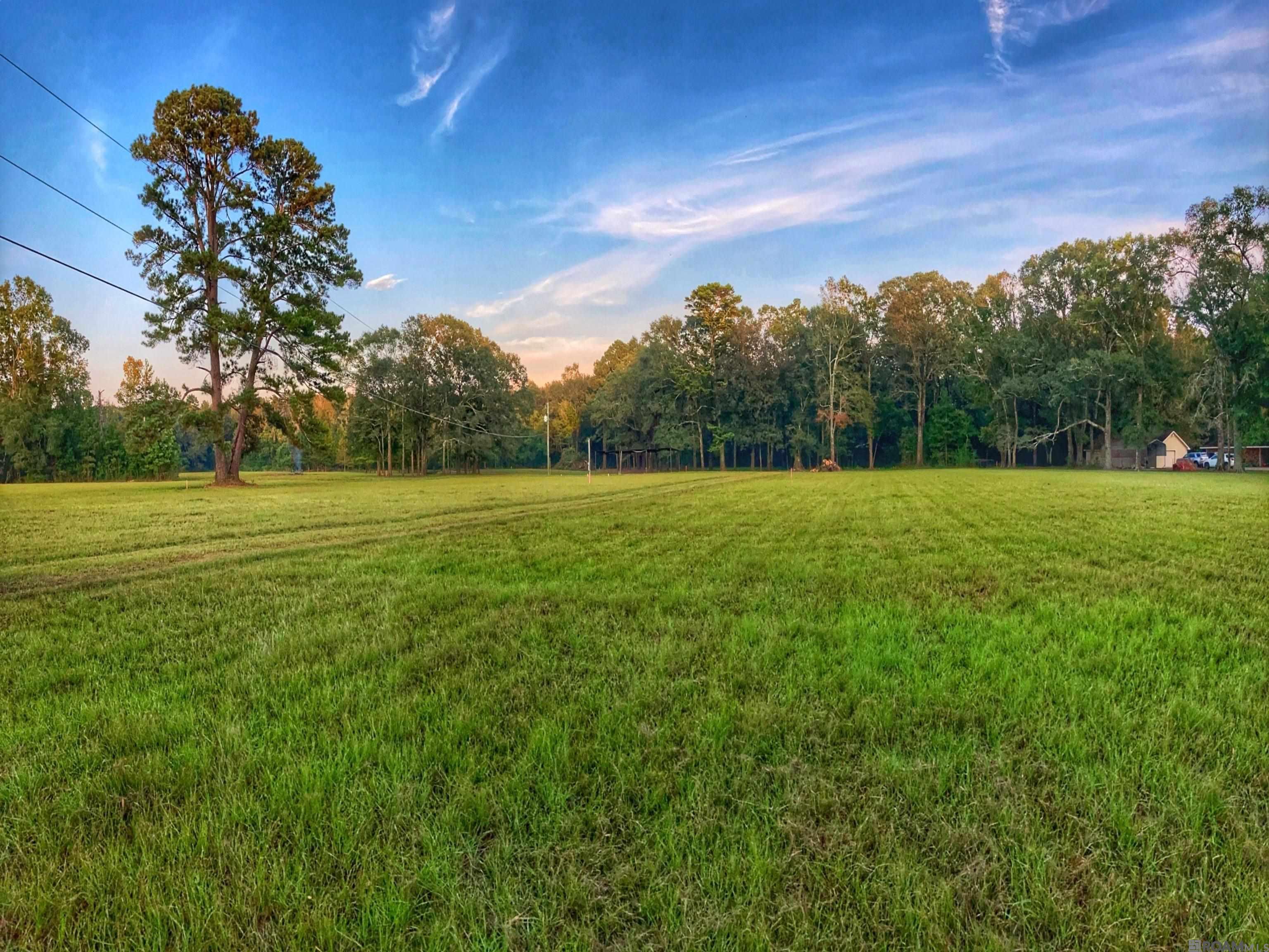 Lot C-3 Chaney Rd, Zachary, Louisiana image 1