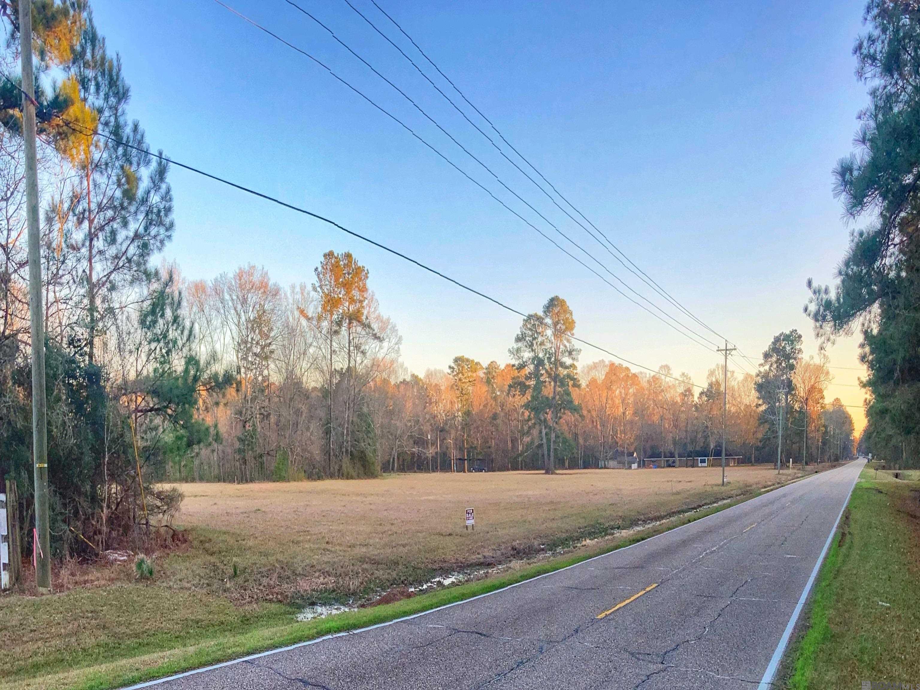 Lot C-3 Chaney Rd, Zachary, Louisiana image 3