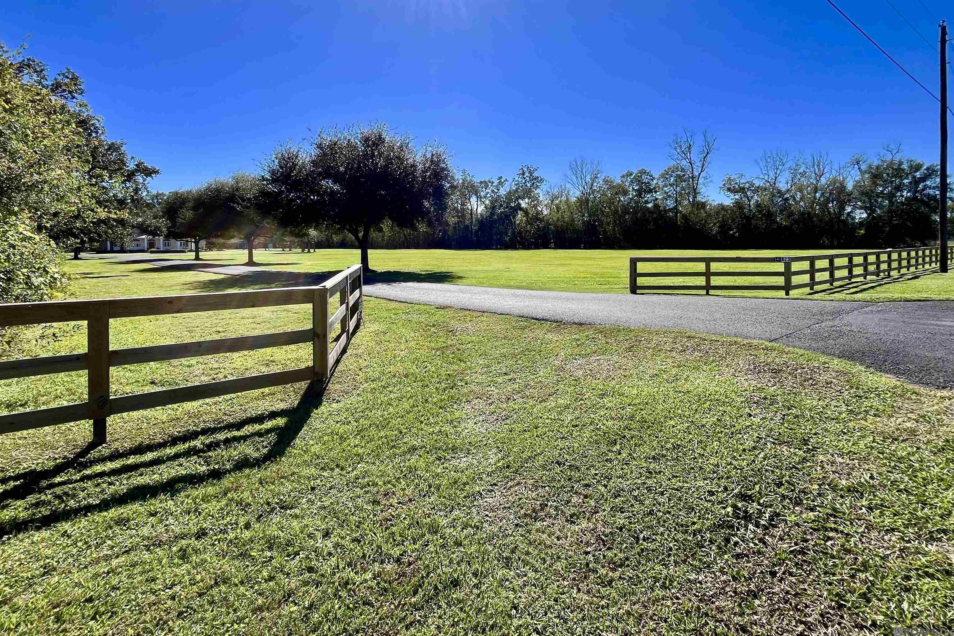 823 River Rd, Sunshine, Louisiana image 9