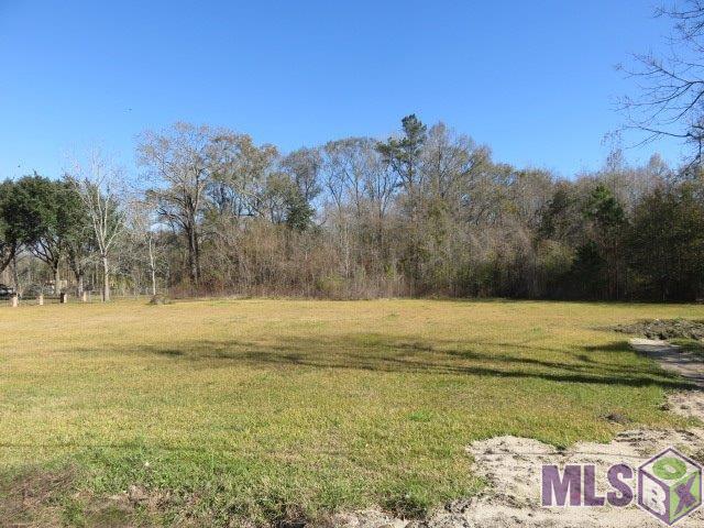 Lot W-2 Airline Hwy, Prairieville, Louisiana image 1