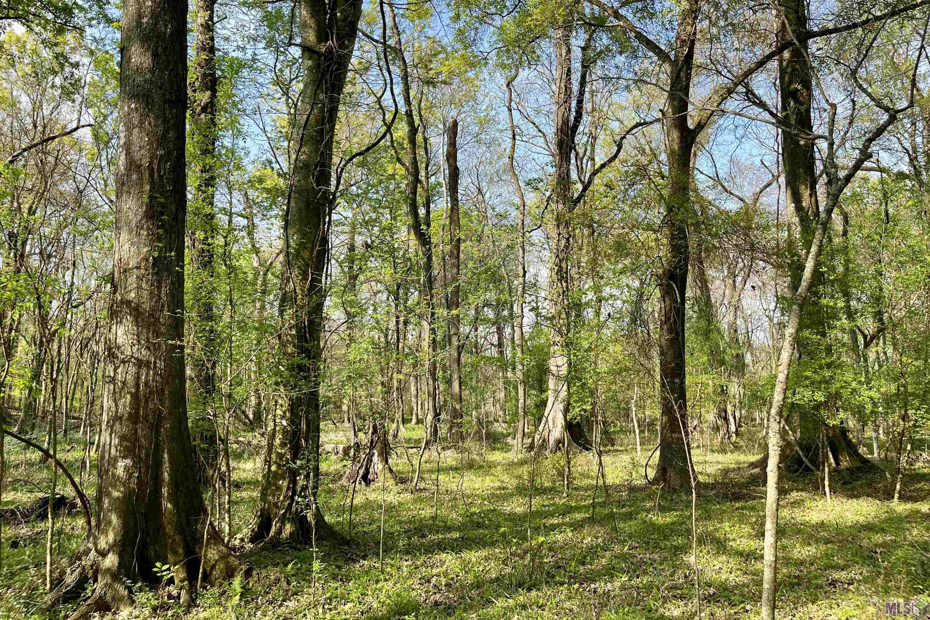 05 La Hwy 991, Sunshine, Louisiana image 8