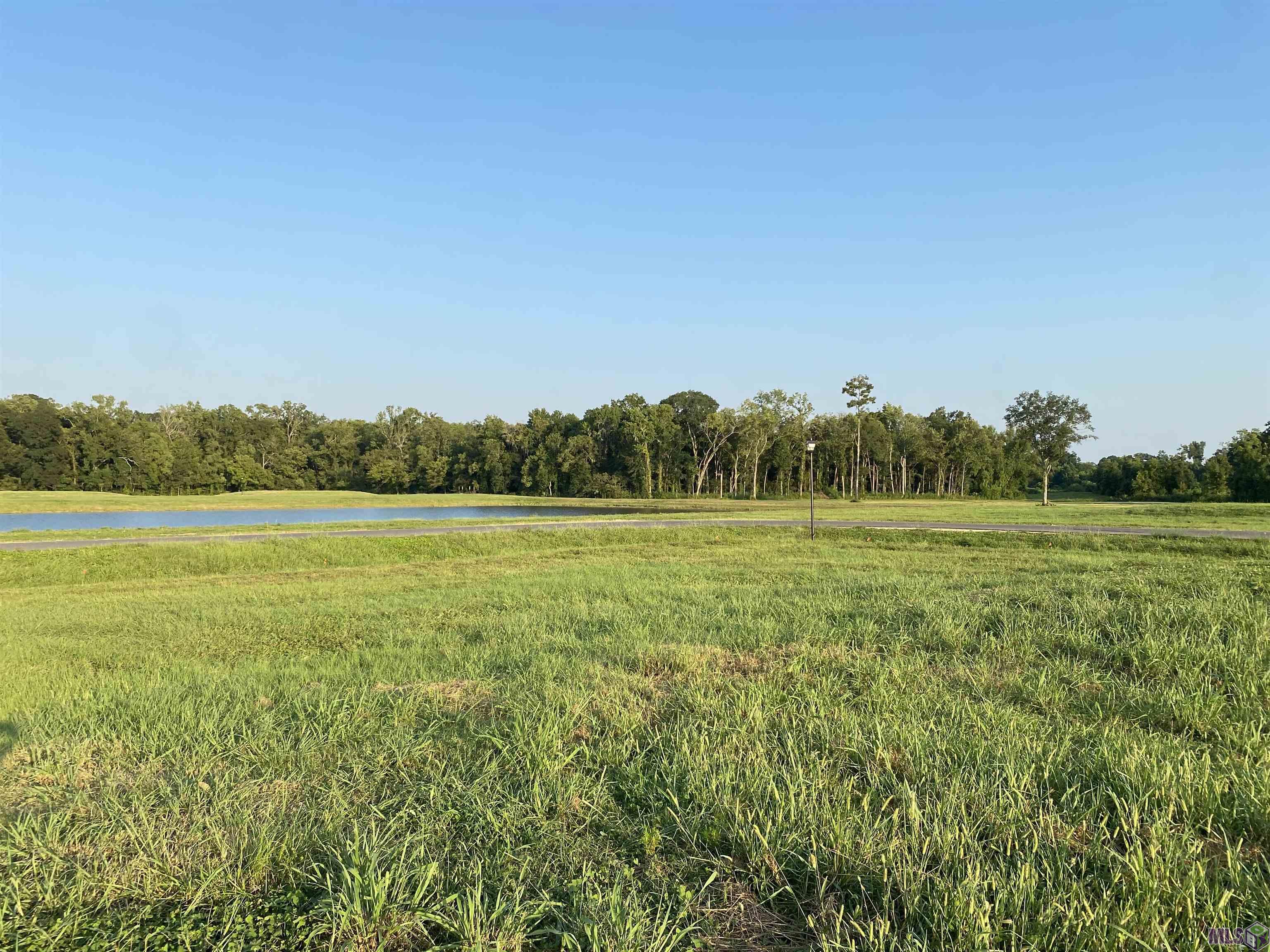 Lot 20 Buddy Gore Rd, Gonzales, Louisiana image 1