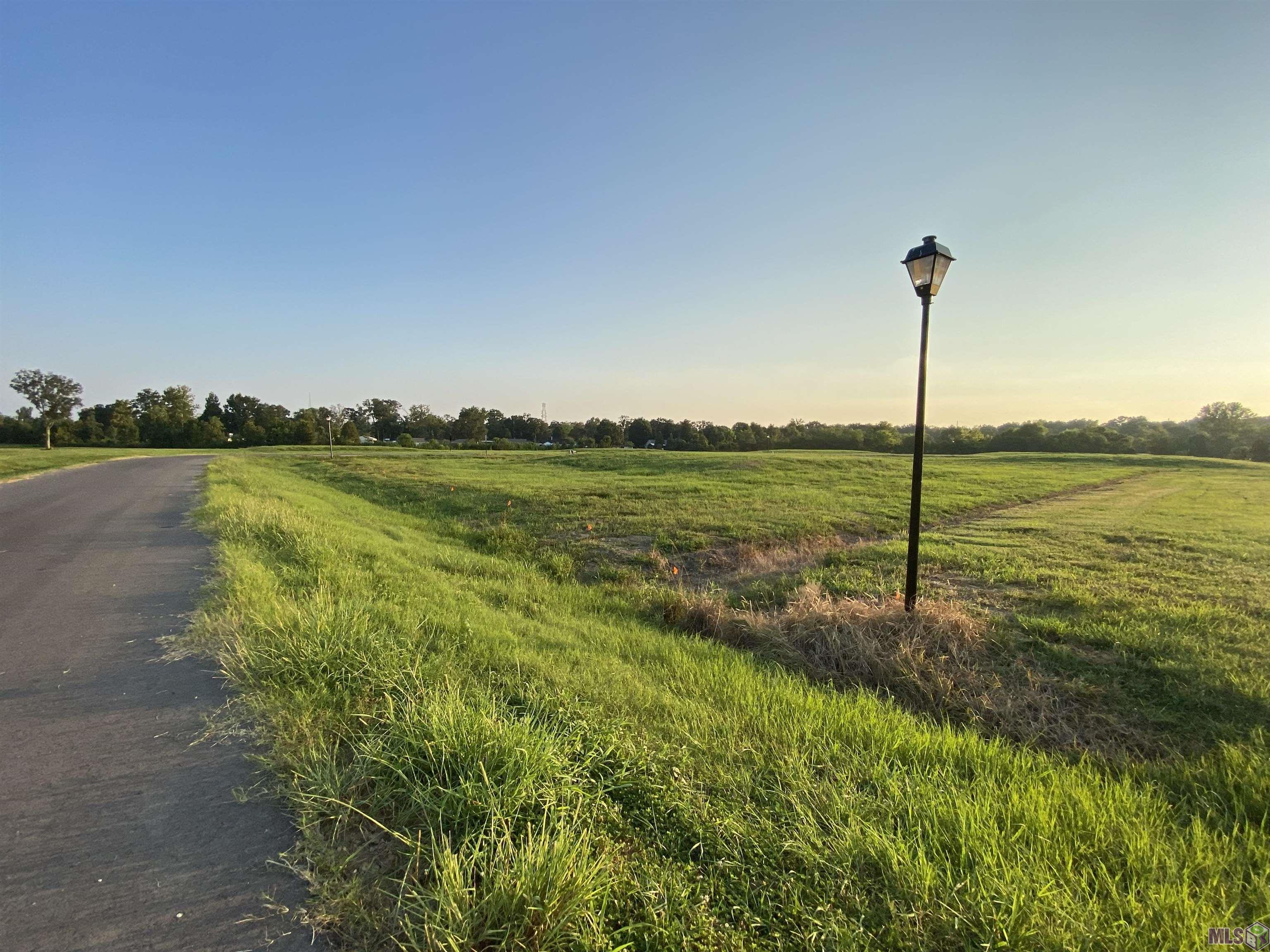 Lot 20 Buddy Gore Rd, Gonzales, Louisiana image 8