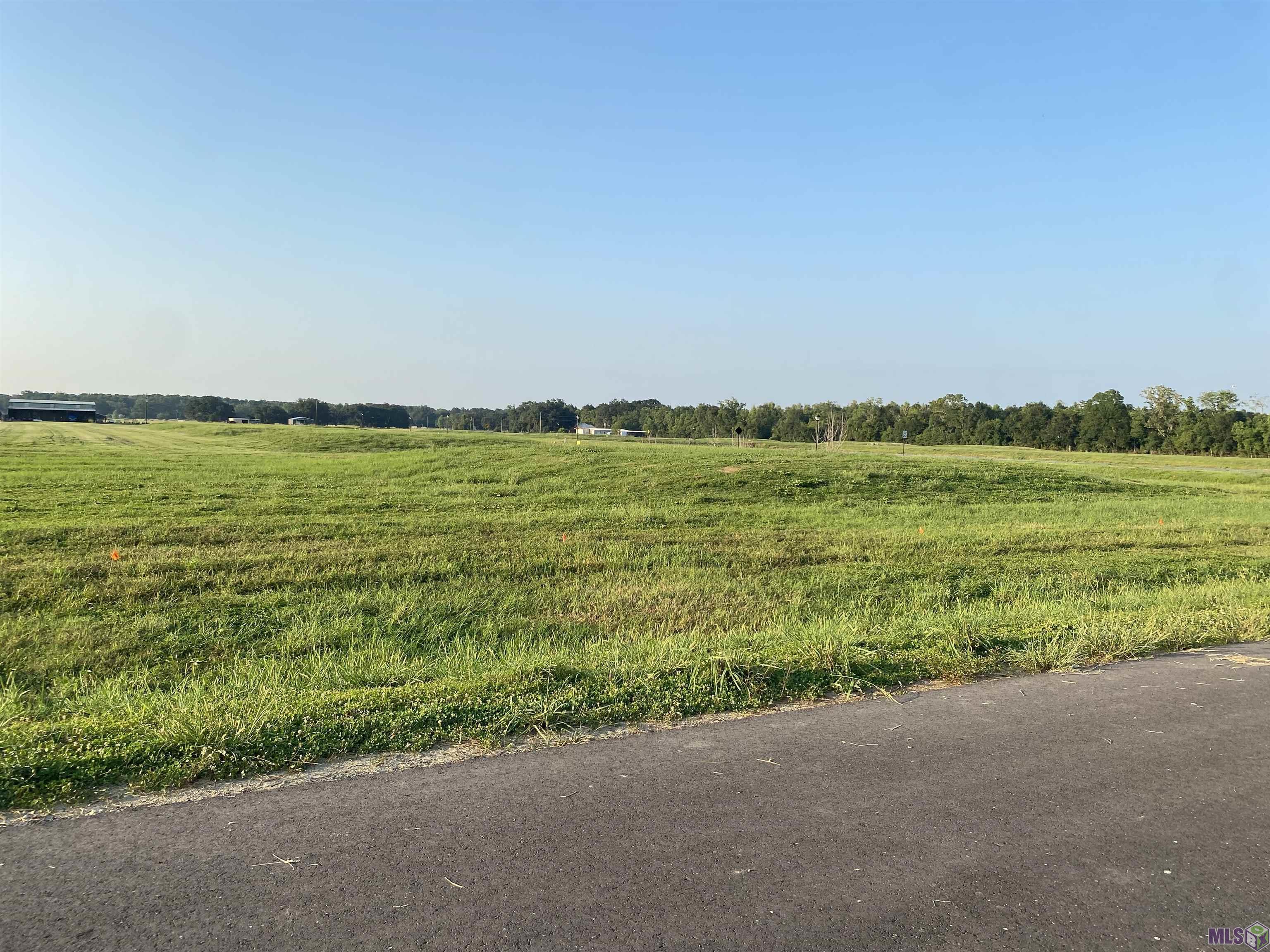 Lot 20 Buddy Gore Rd, Gonzales, Louisiana image 3