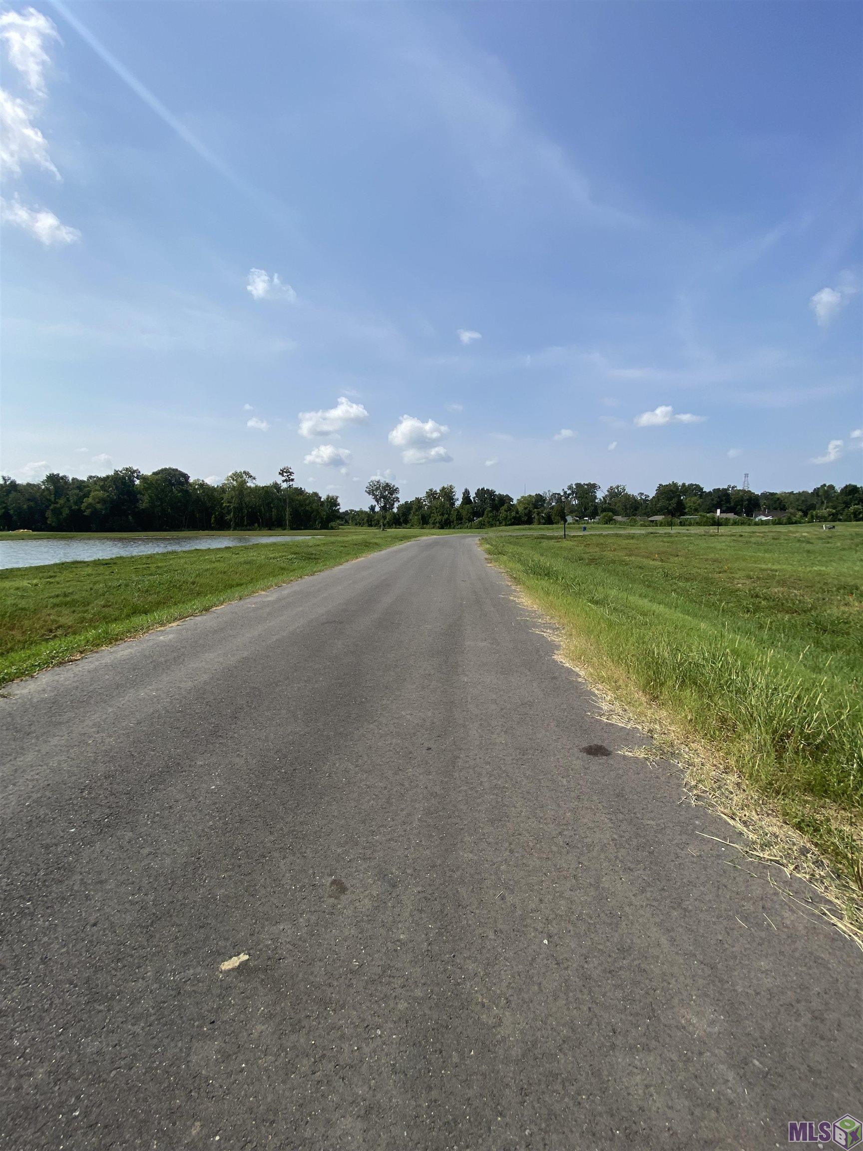 Lot 20 Buddy Gore Rd, Gonzales, Louisiana image 5