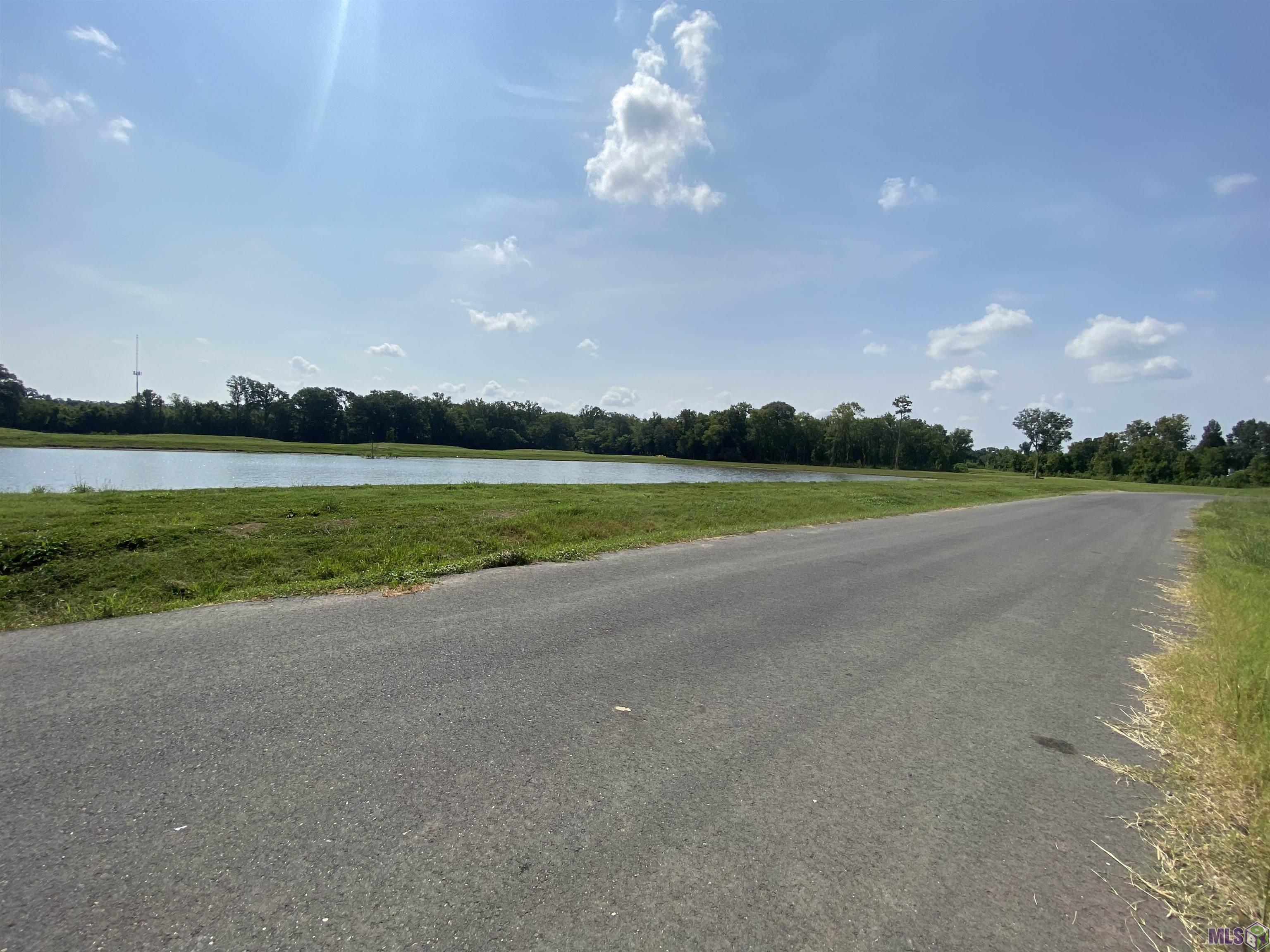 Lot 20 Buddy Gore Rd, Gonzales, Louisiana image 6