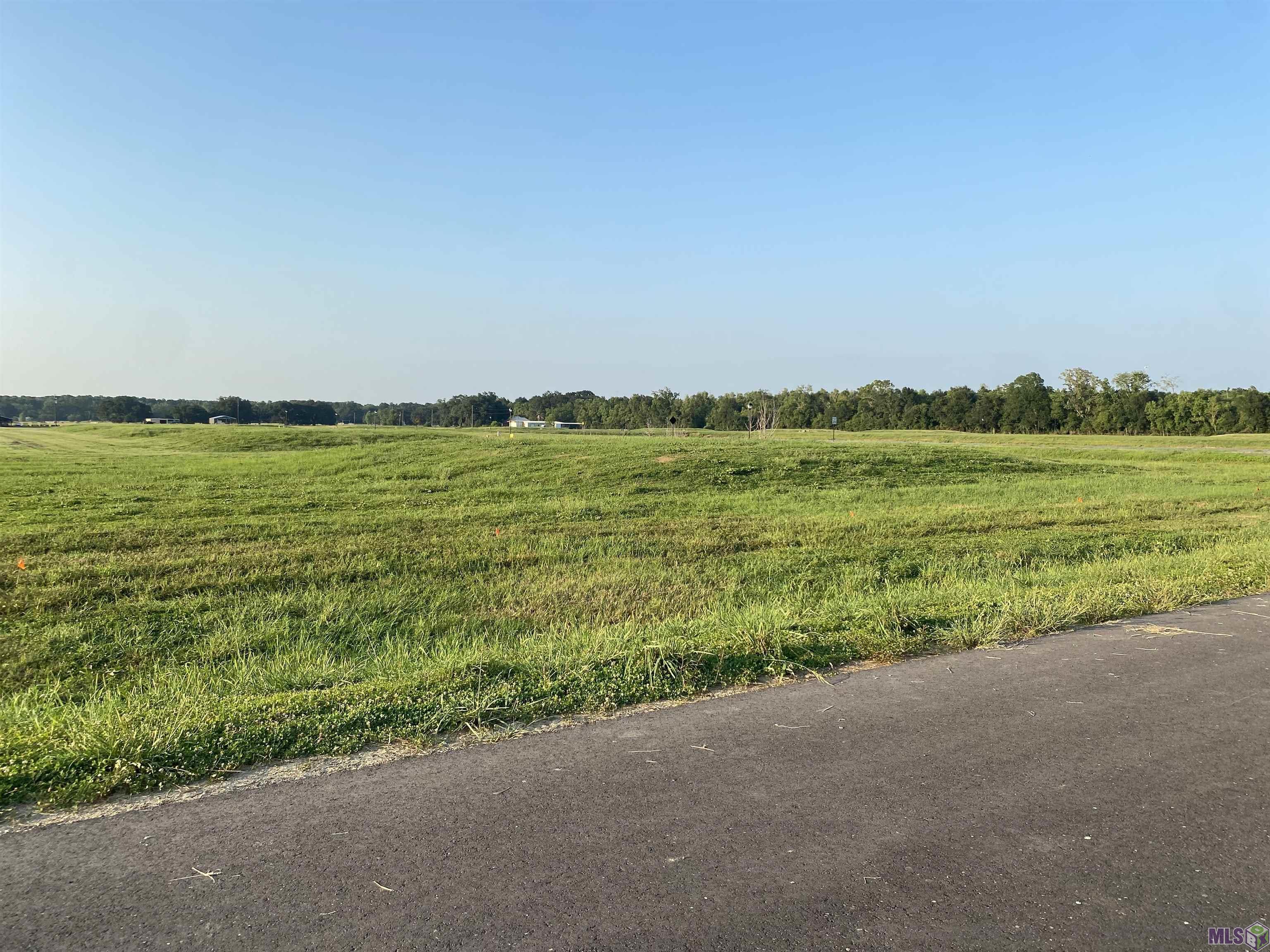 Lot 20 Buddy Gore Rd, Gonzales, Louisiana image 4