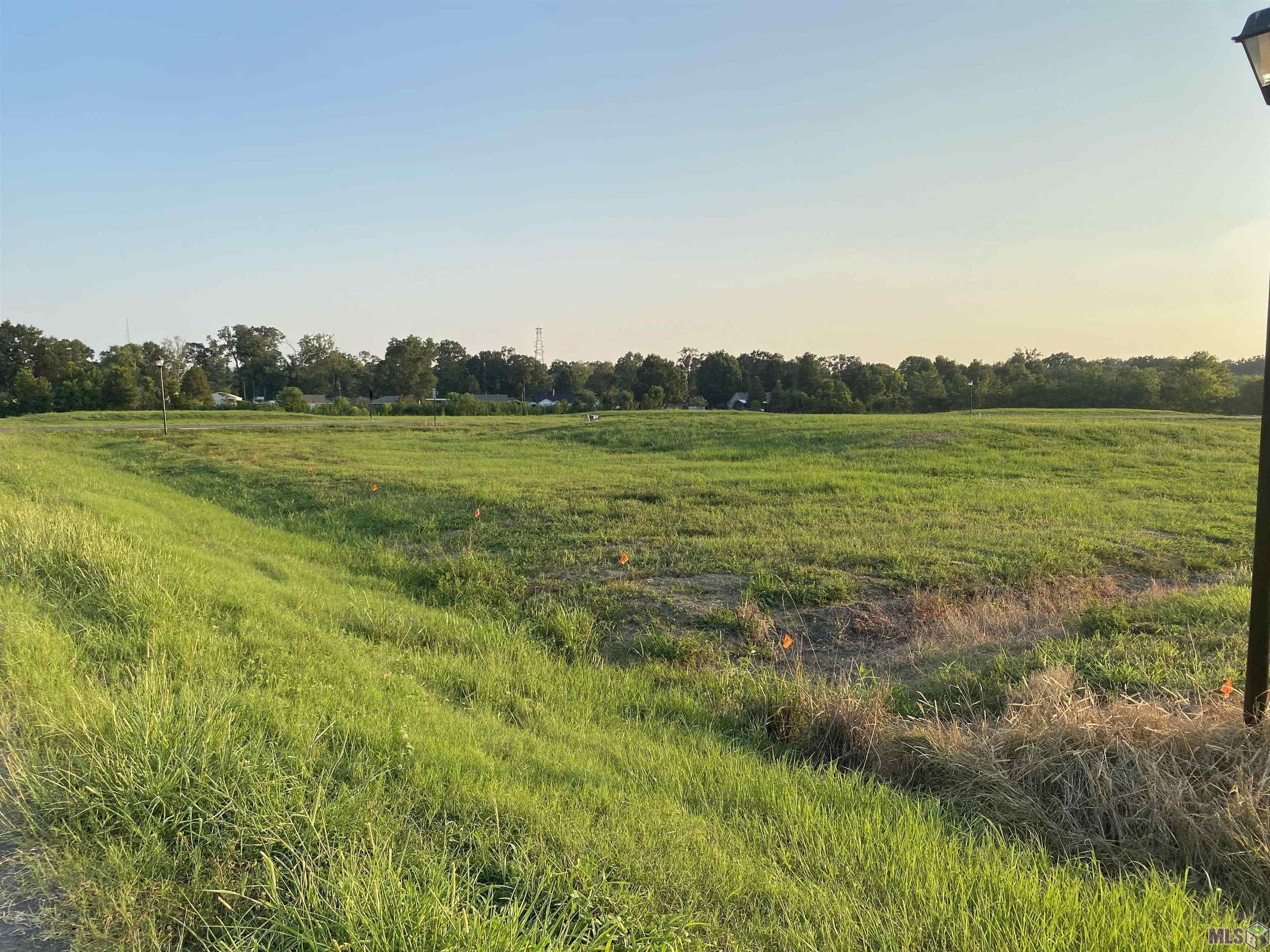 Lot 20 Buddy Gore Rd, Gonzales, Louisiana image 7