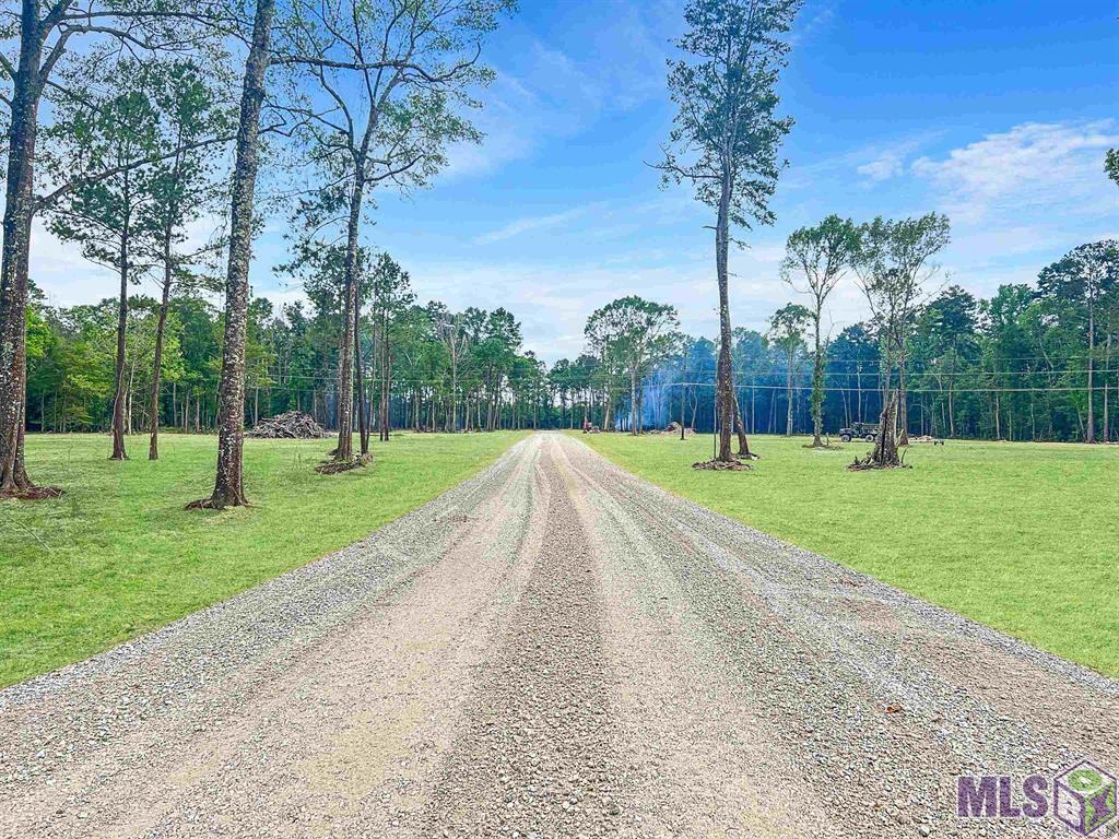 35096 Coy Holden Rd, Walker, Louisiana image 3